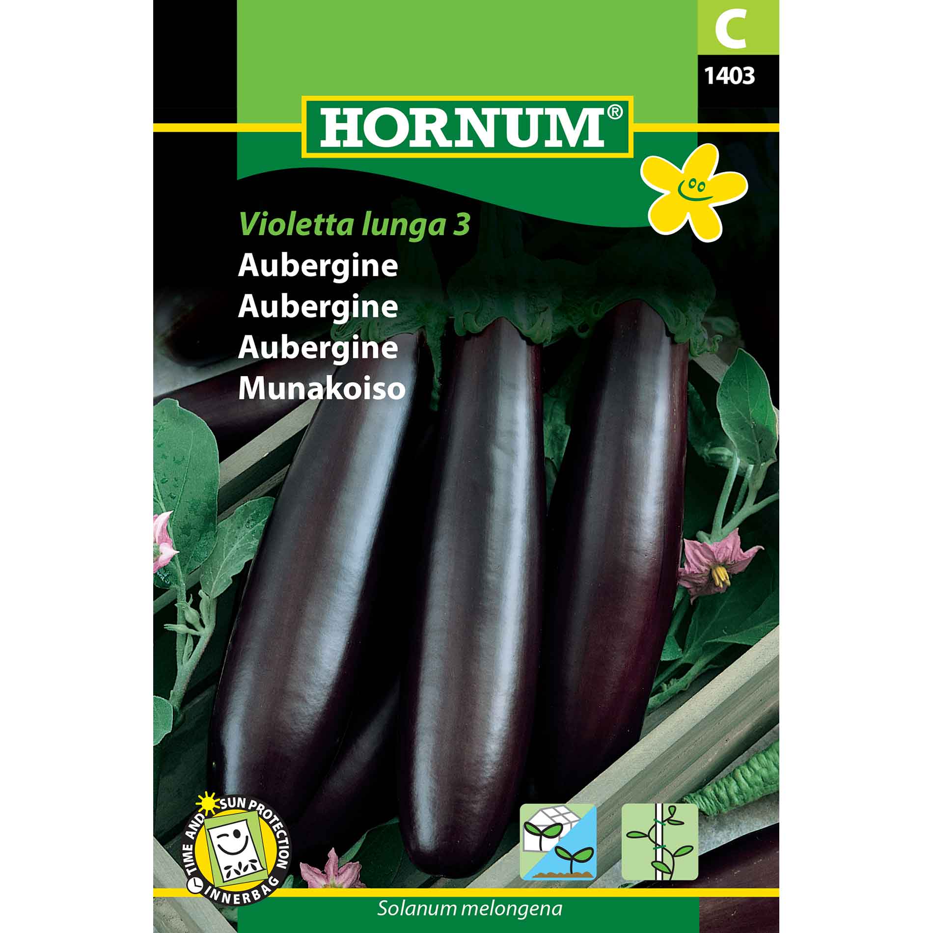 Auberginefrön - Violetta lunga 3