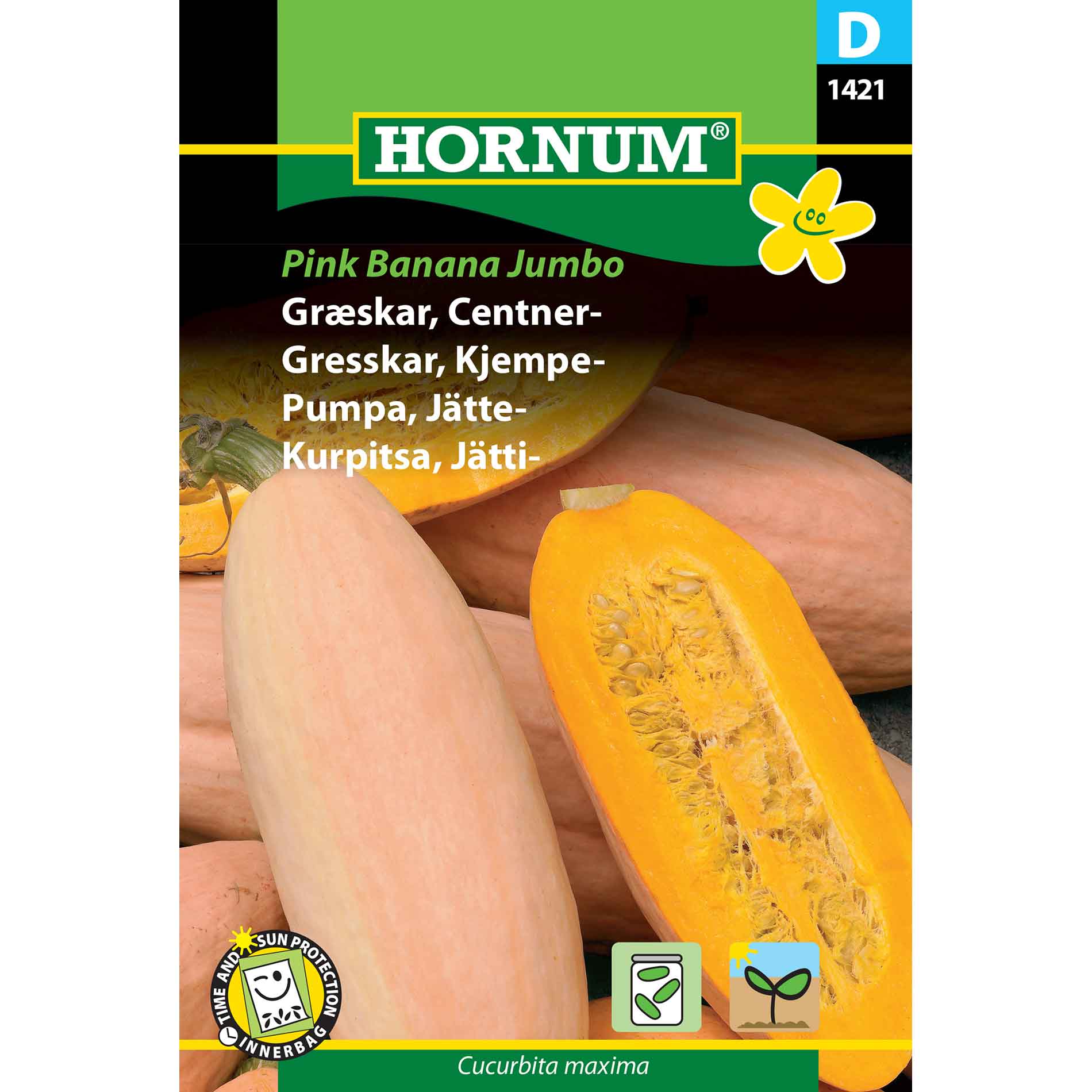 Pumpkin, Centner-, Pink Banana Jumbo (D)