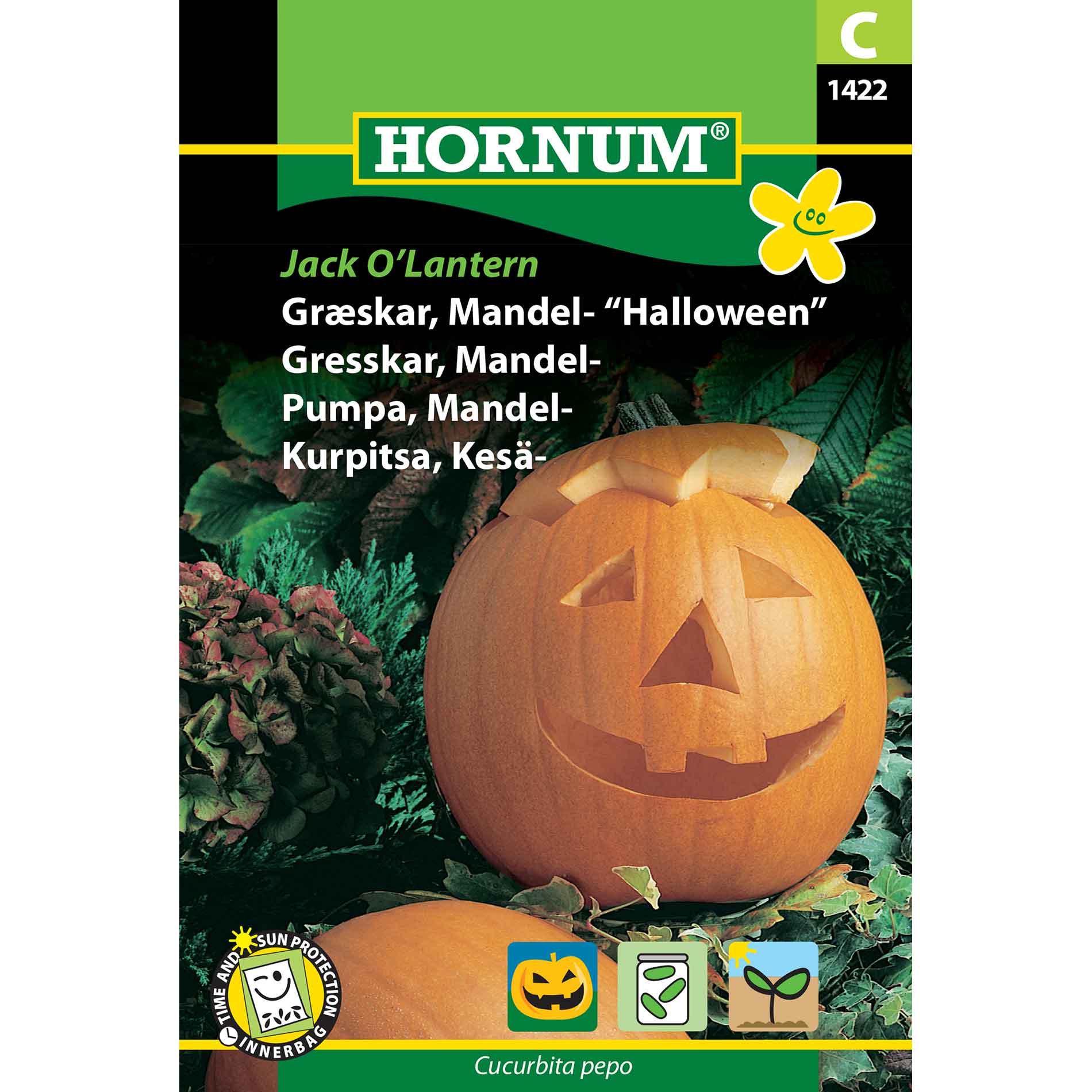 Pumpa, mandel, Jack O'Lantern (C)
