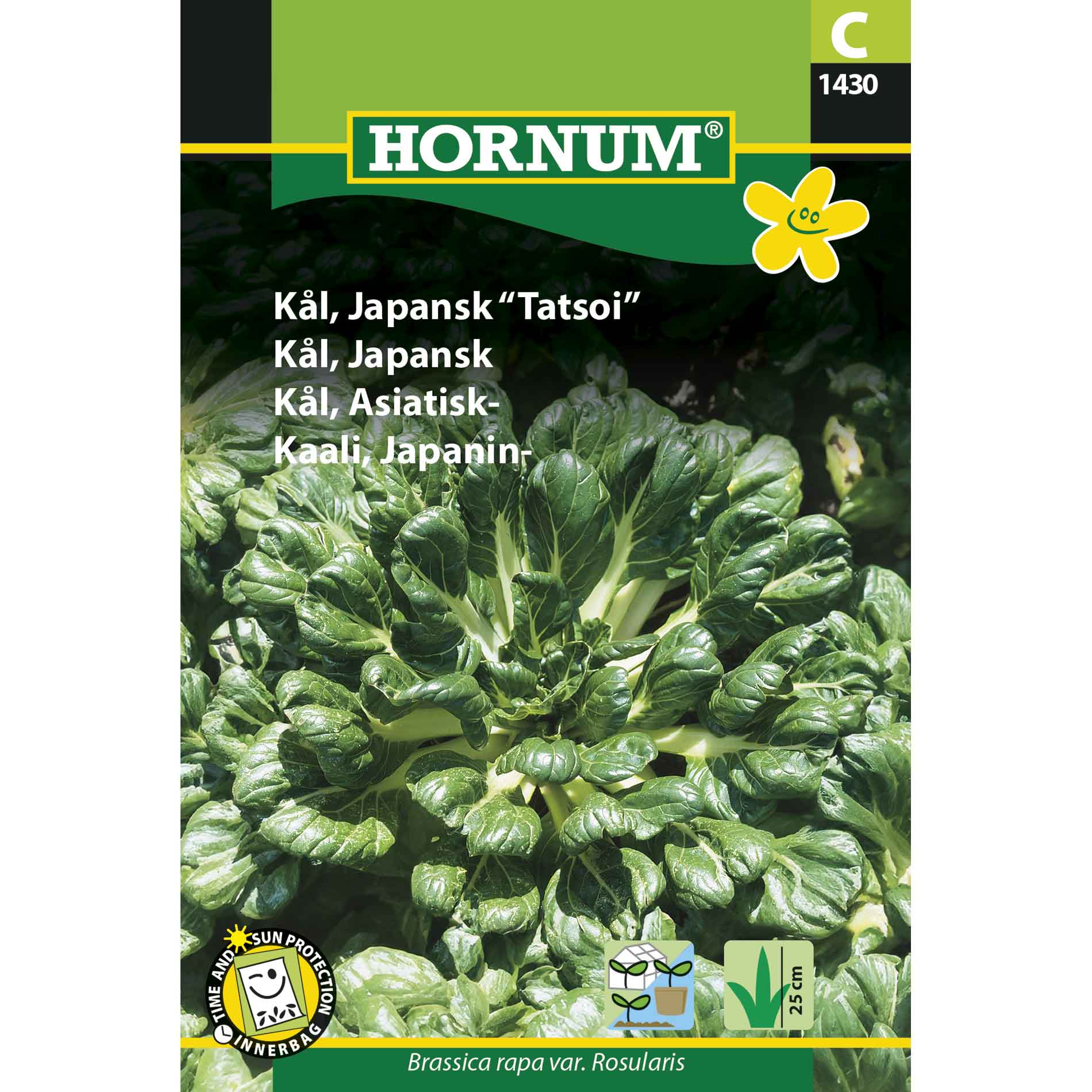 Kål, japansk Tatsoi Tatsoi