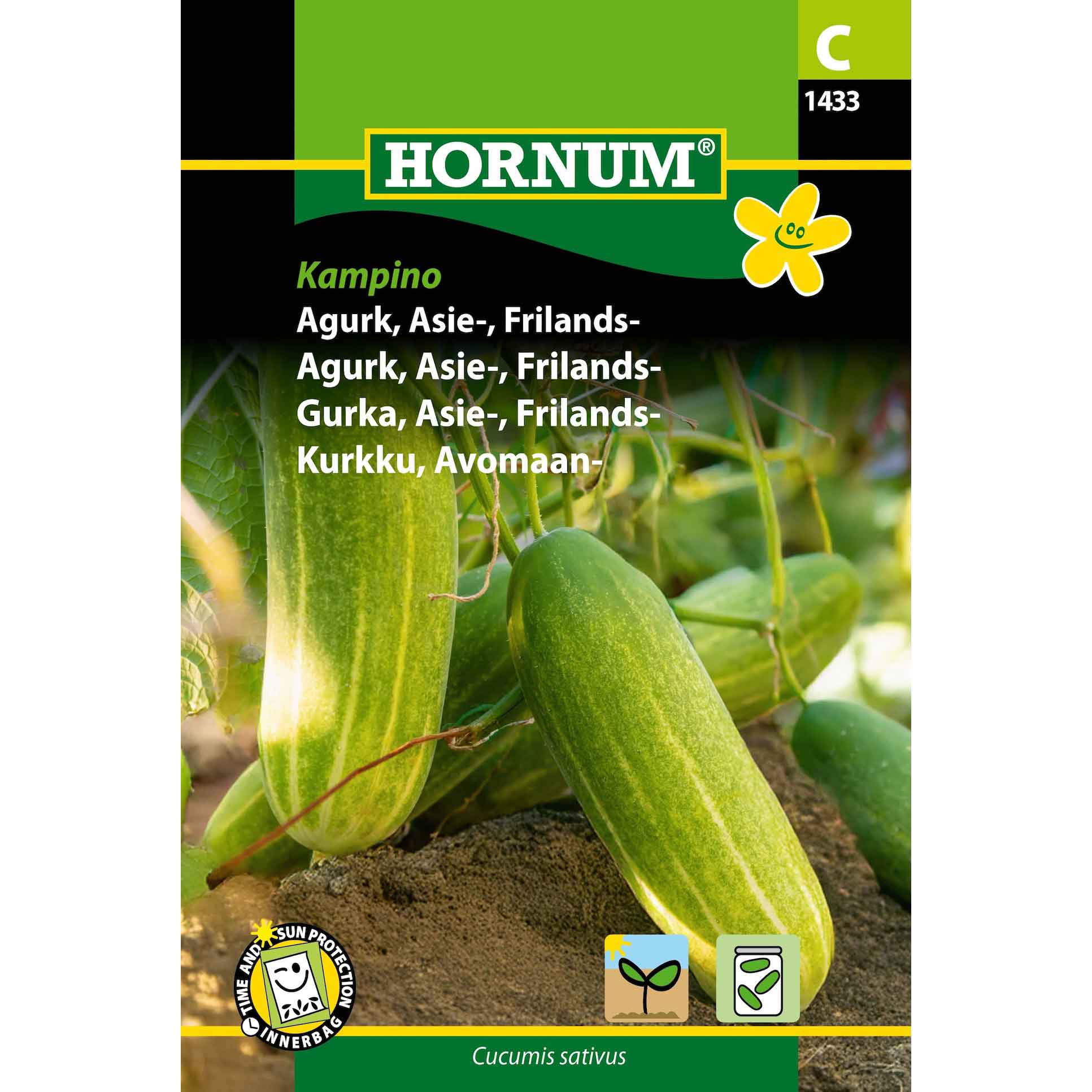 Agurk, Asie-, Frilands- Kampino (C)