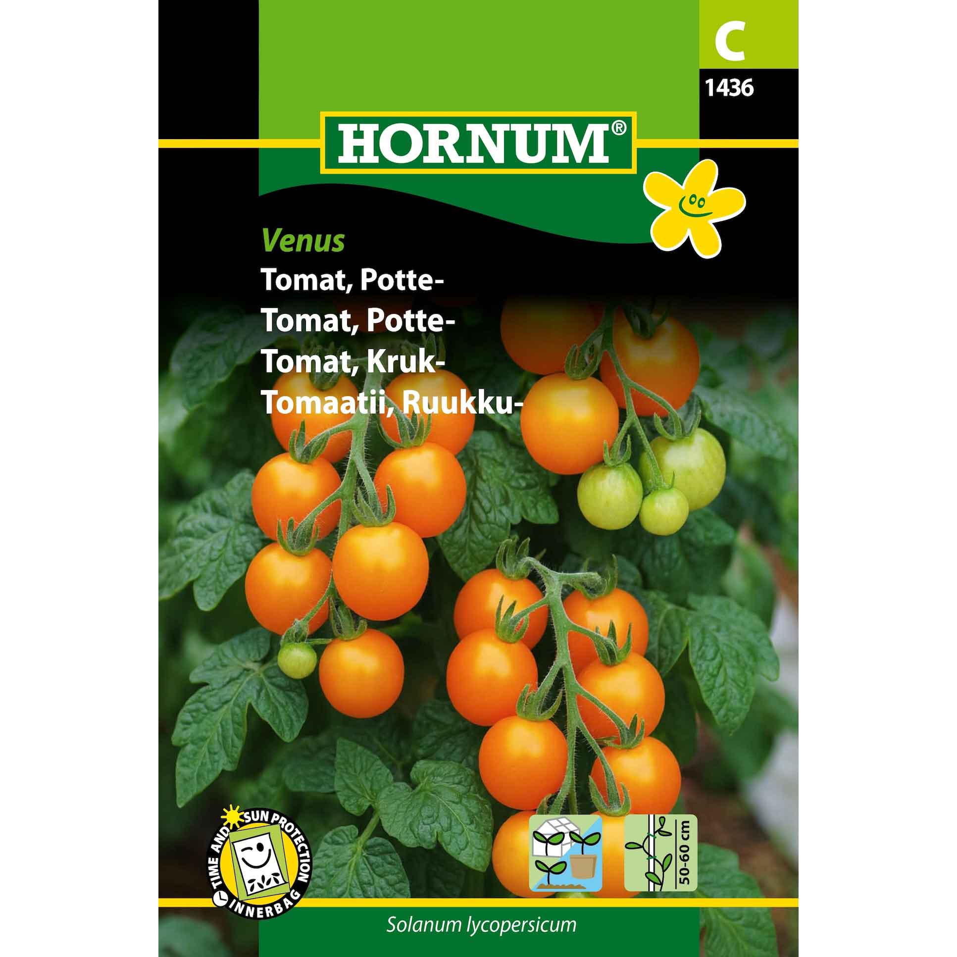 Tomat, Potte Venus (C)