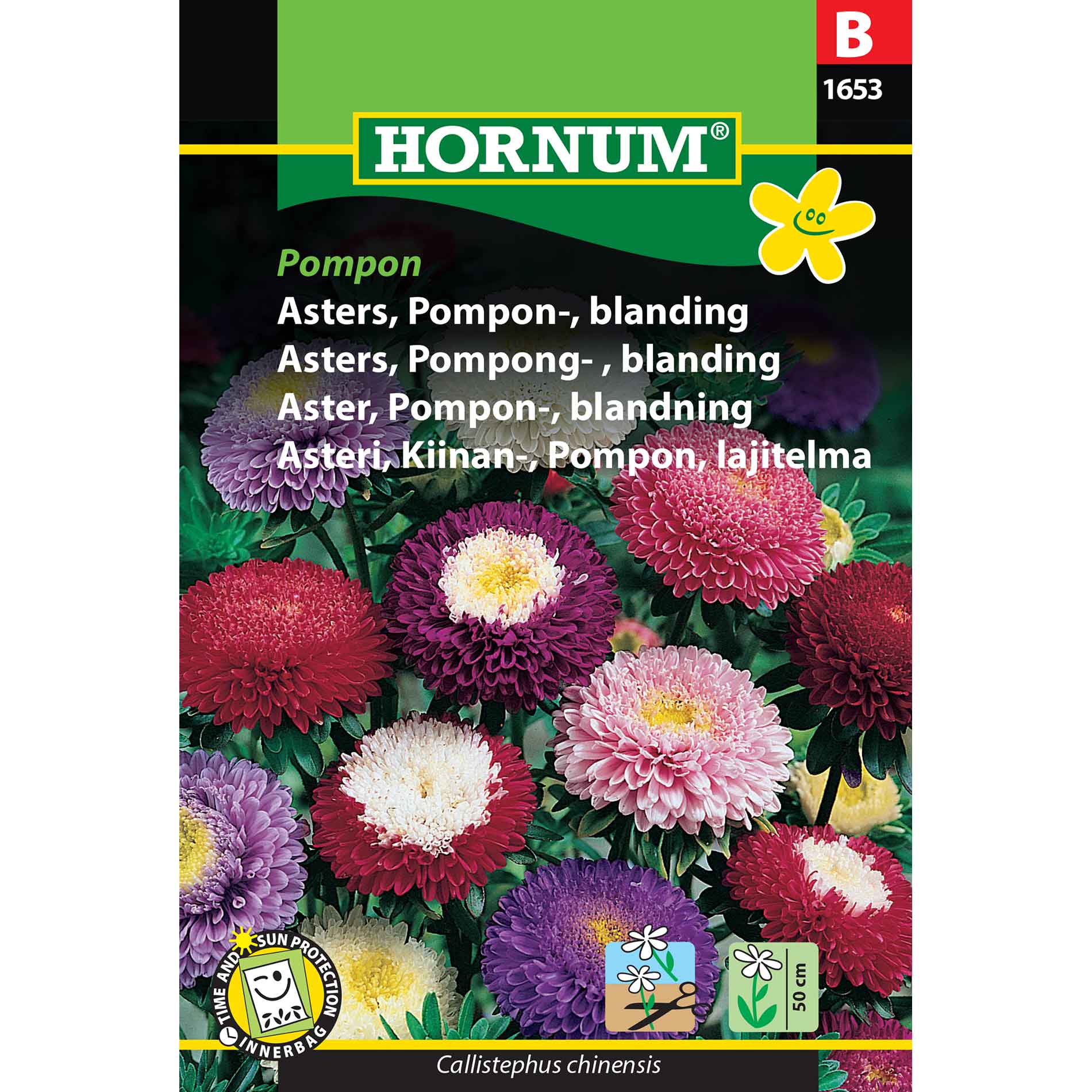 Asterfrön - Pompon - blanda - Pompon