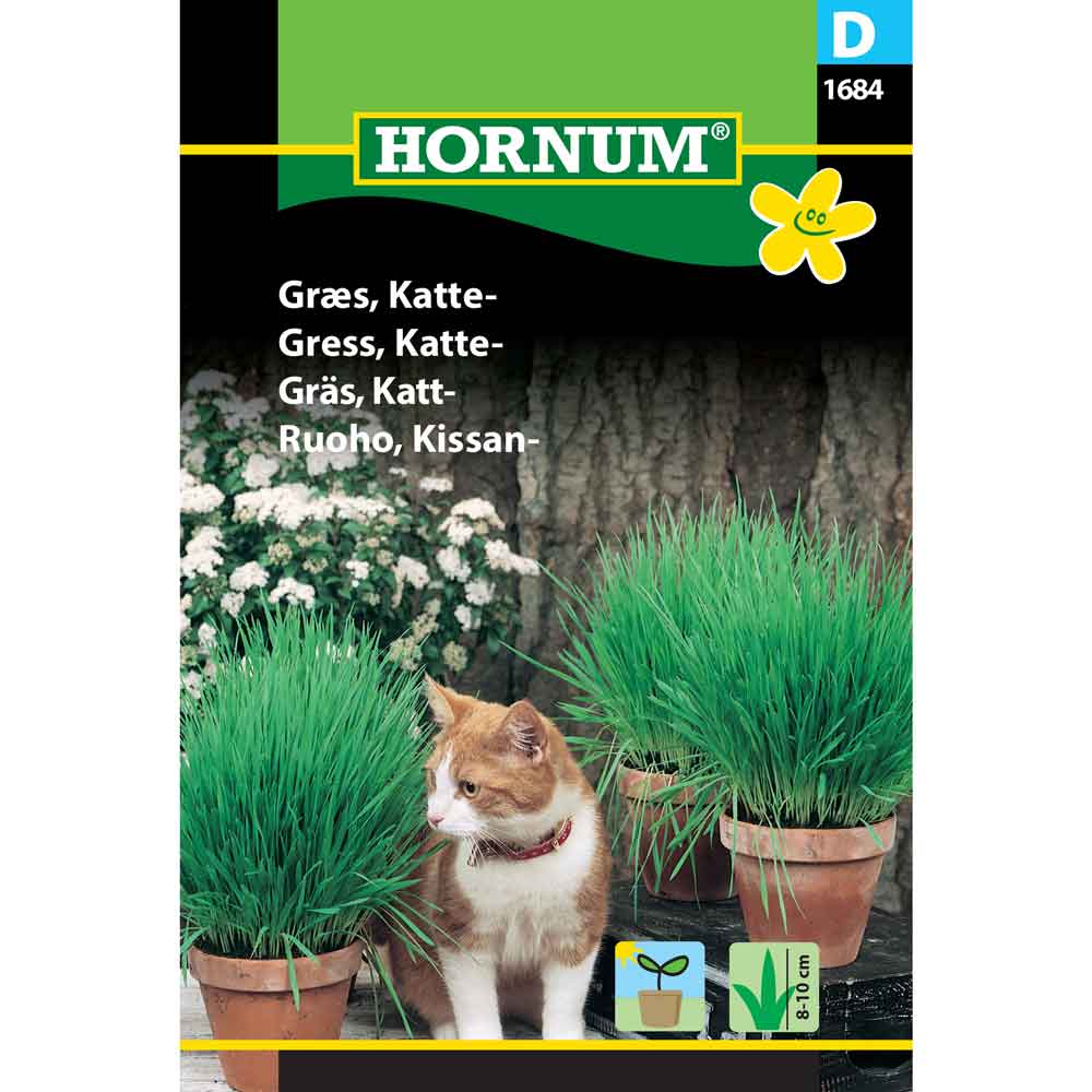 Kattmynta frön mix
