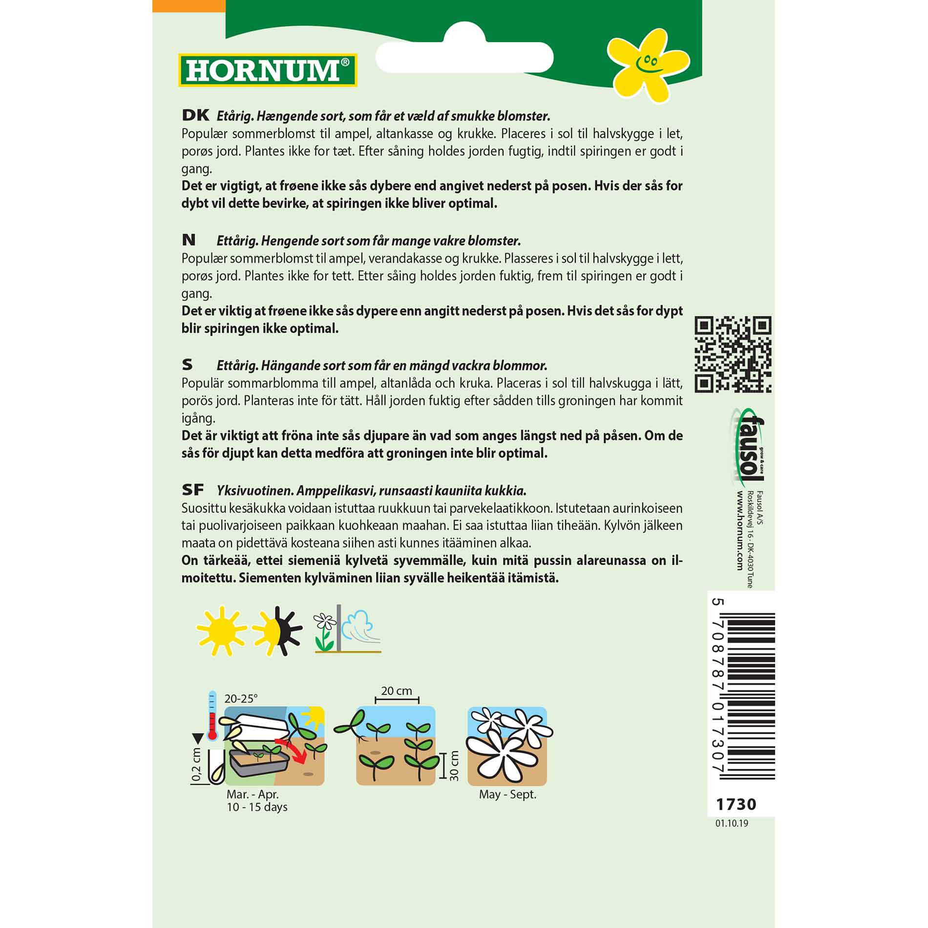 Hanging Petunia - Purple Cascade