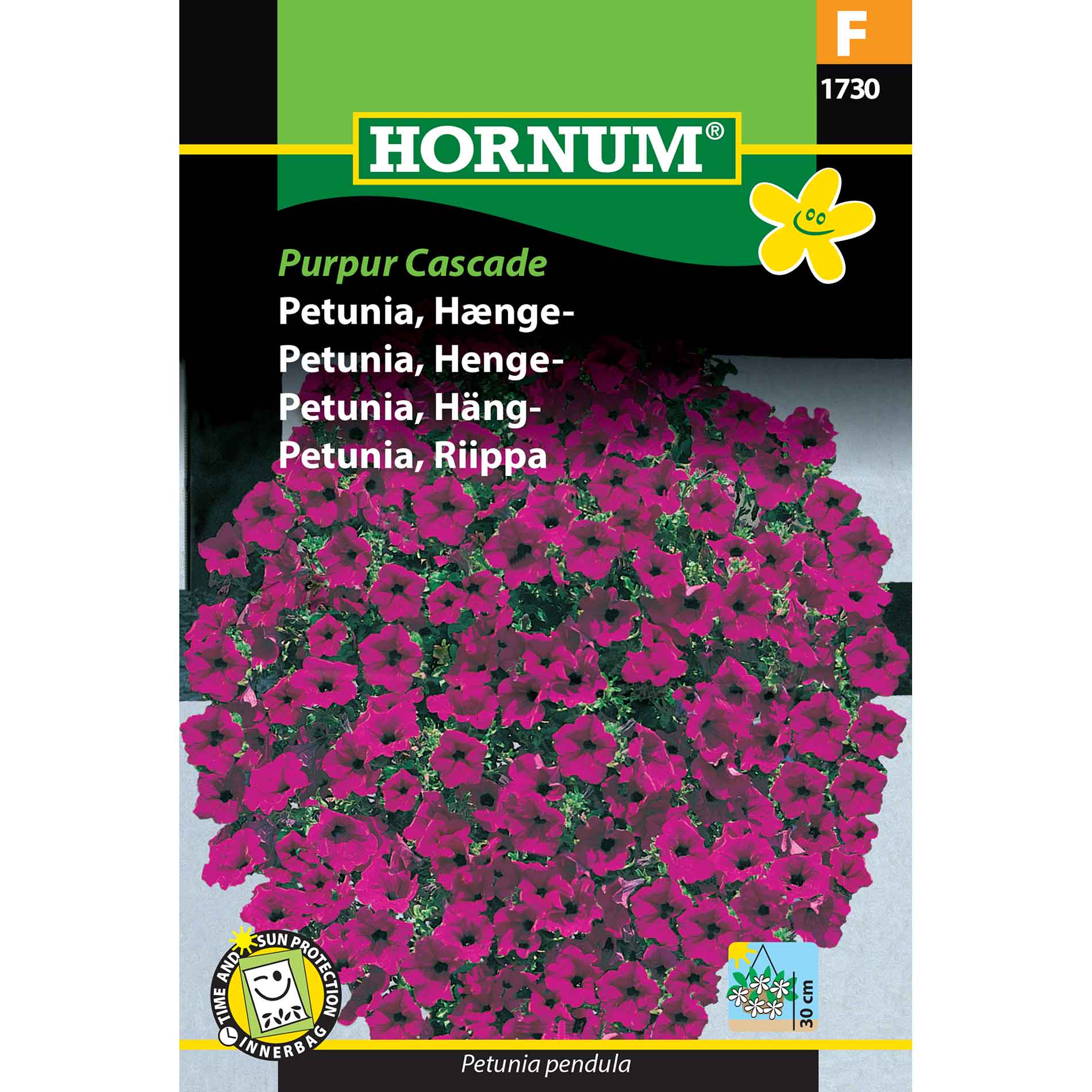 Hanging Petunia - Purple Cascade