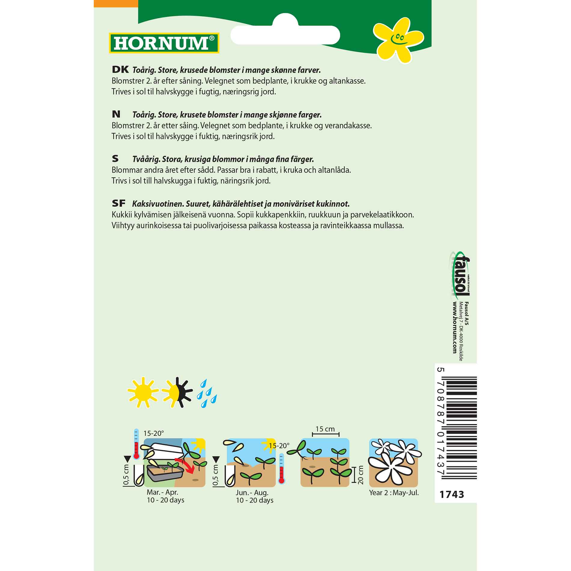 Pansy, white, Rococco (F)