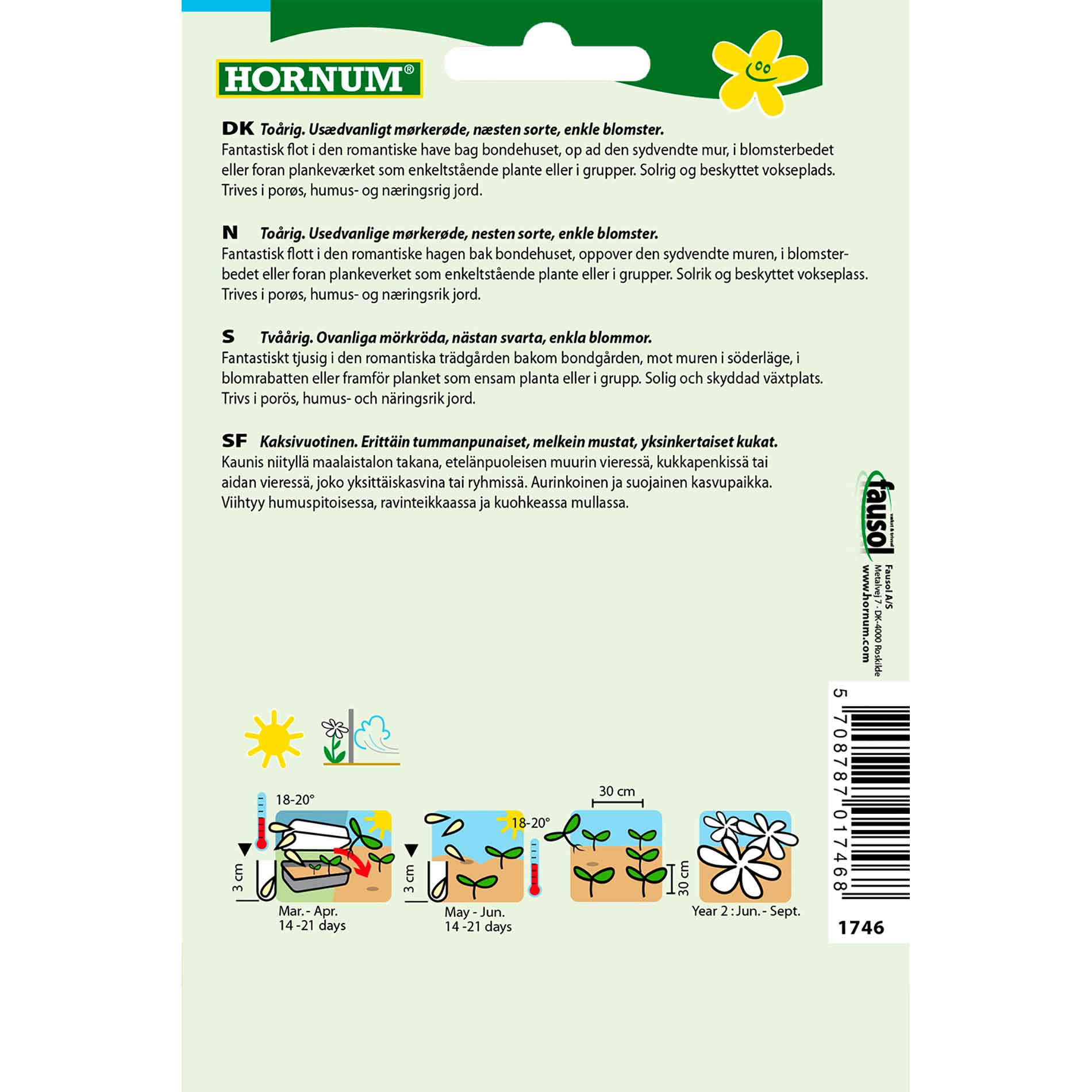 Hollyhock seeds - Dark Beauty