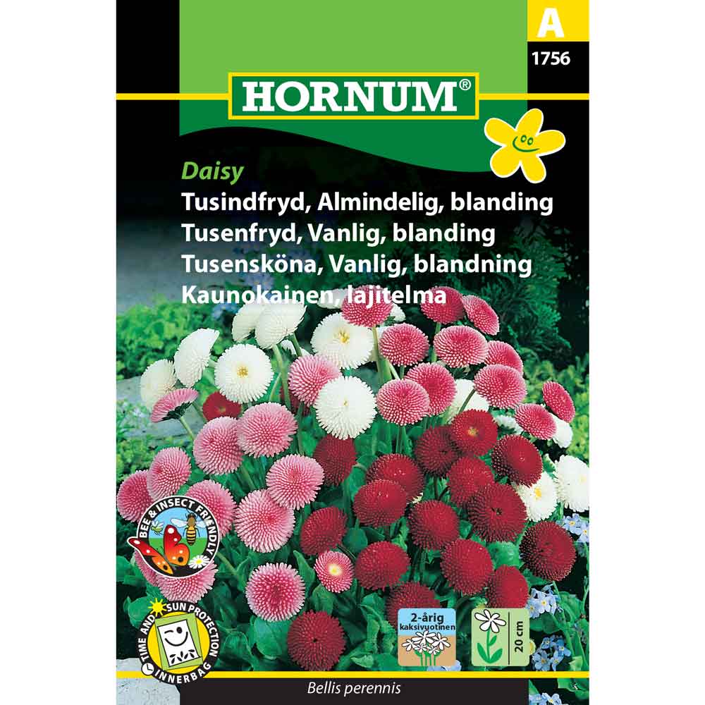 Daisy seeds - Common Daisy mix