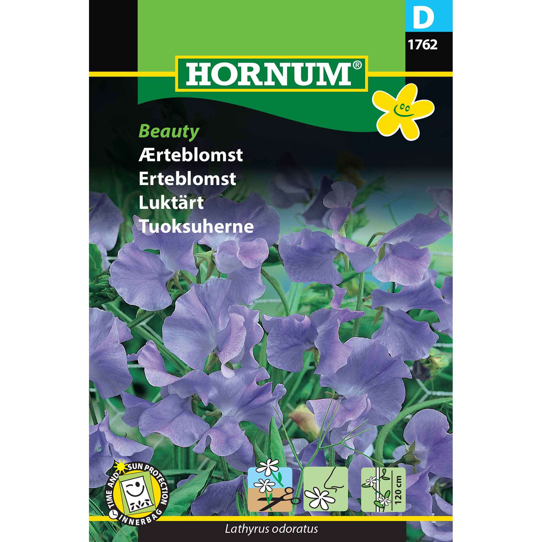 Pea flower seeds - Beauty