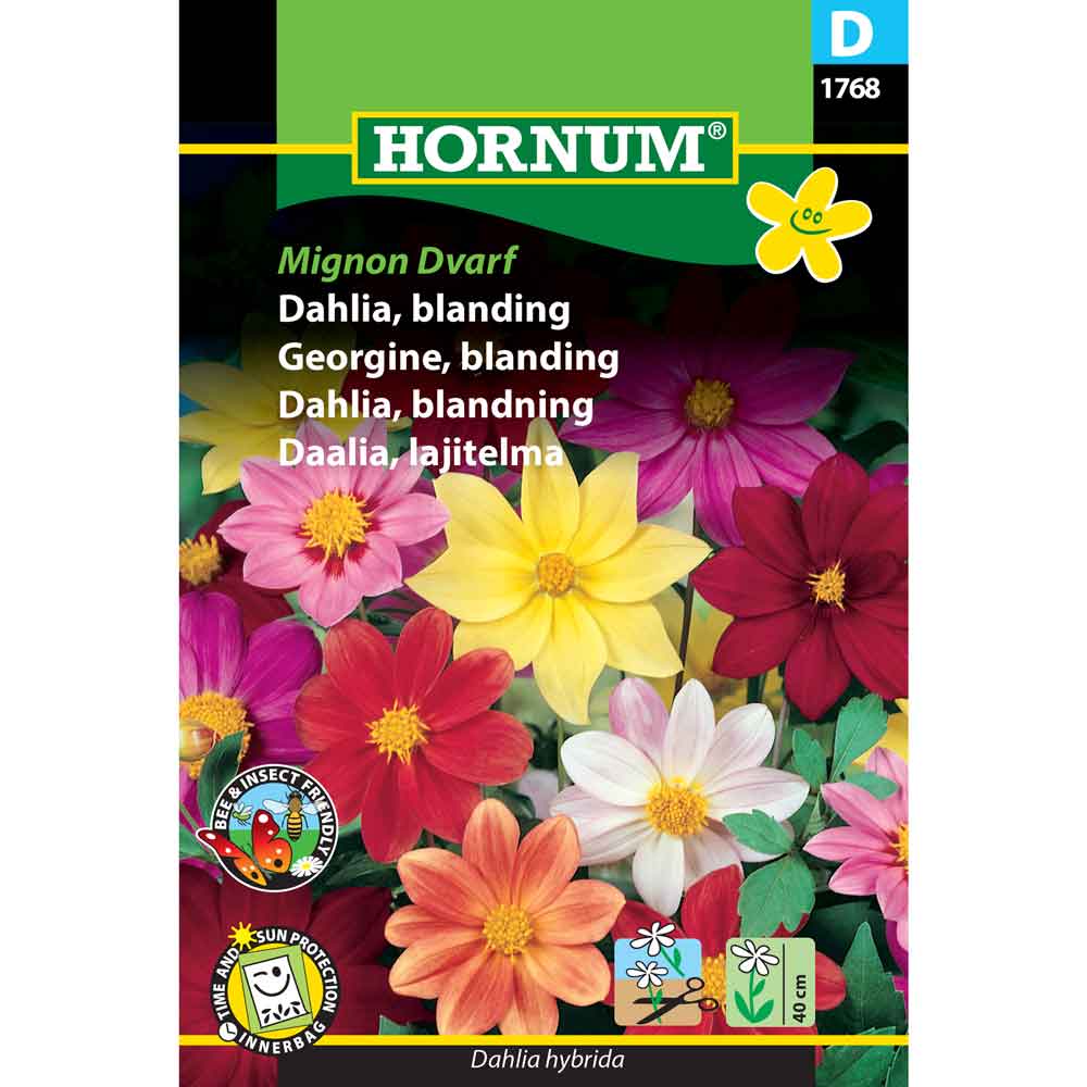 Dahlia seeds - mix - Mignon Dwarf