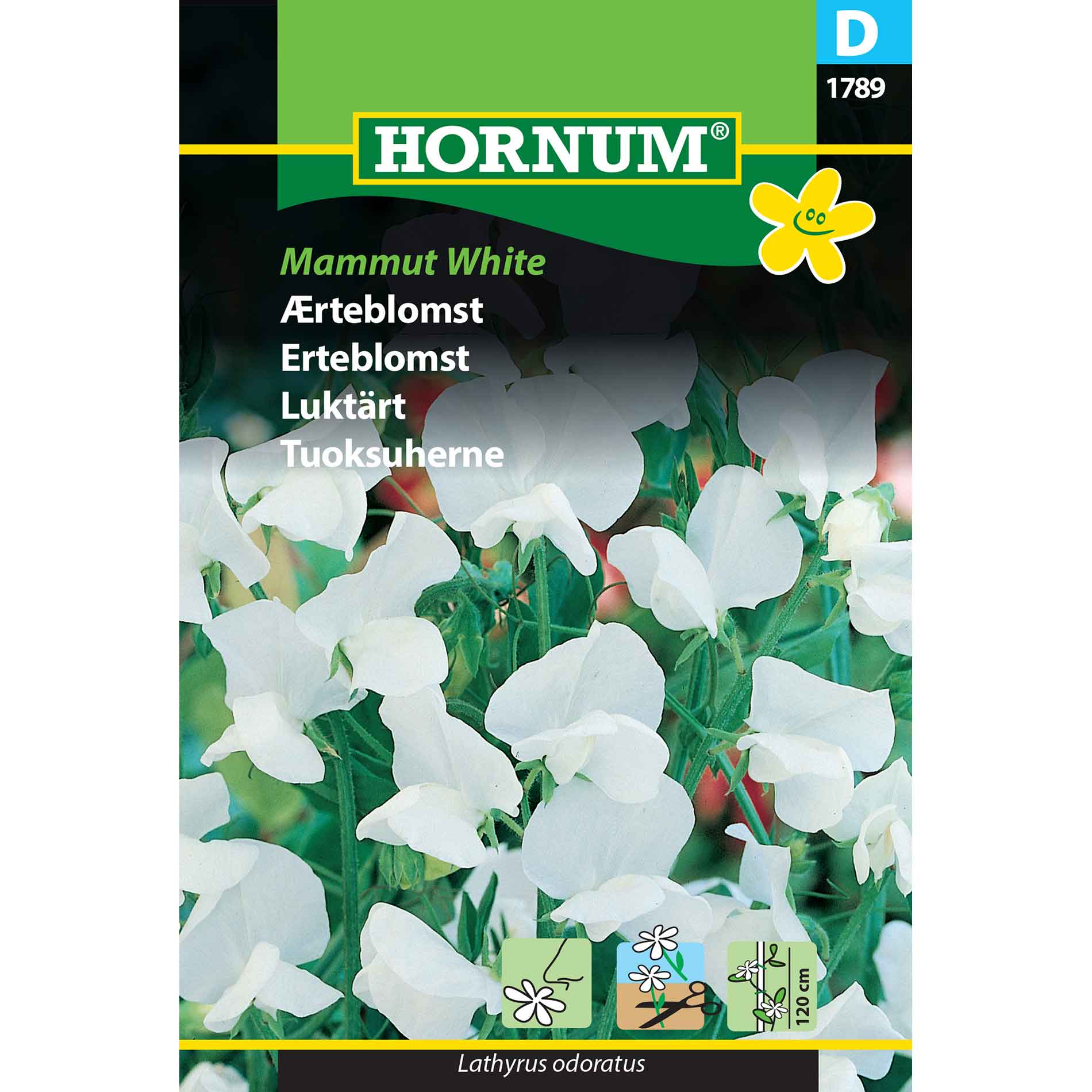 Ärtblomsfrön - Mammut White