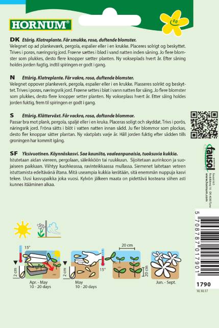 Ærteblomst Mammut Rose