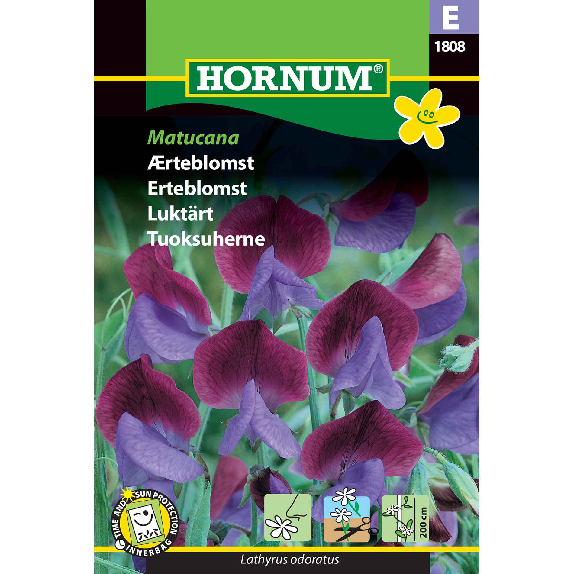 Pea flower seeds - Matucana