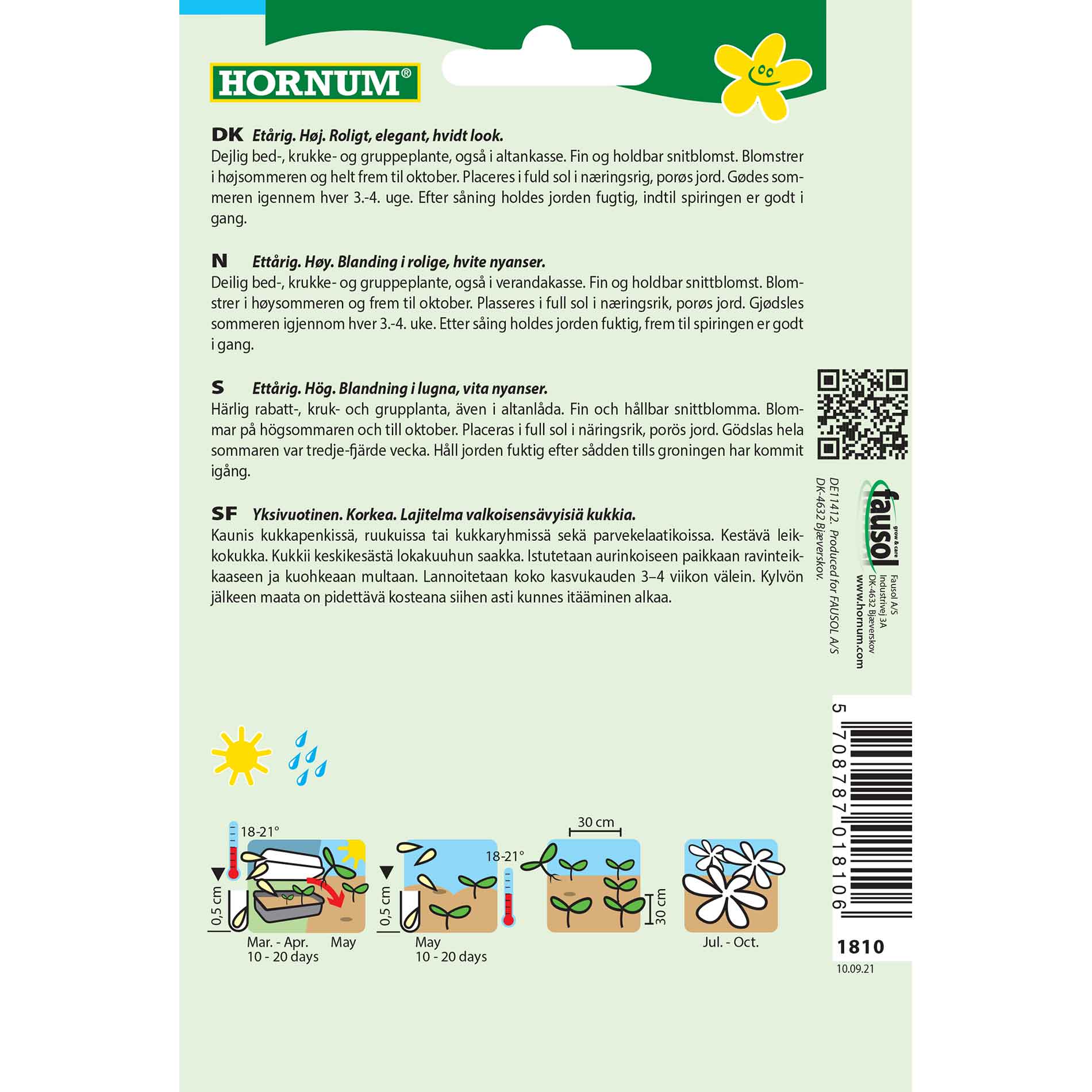 Lady's Hat Frog - Grace