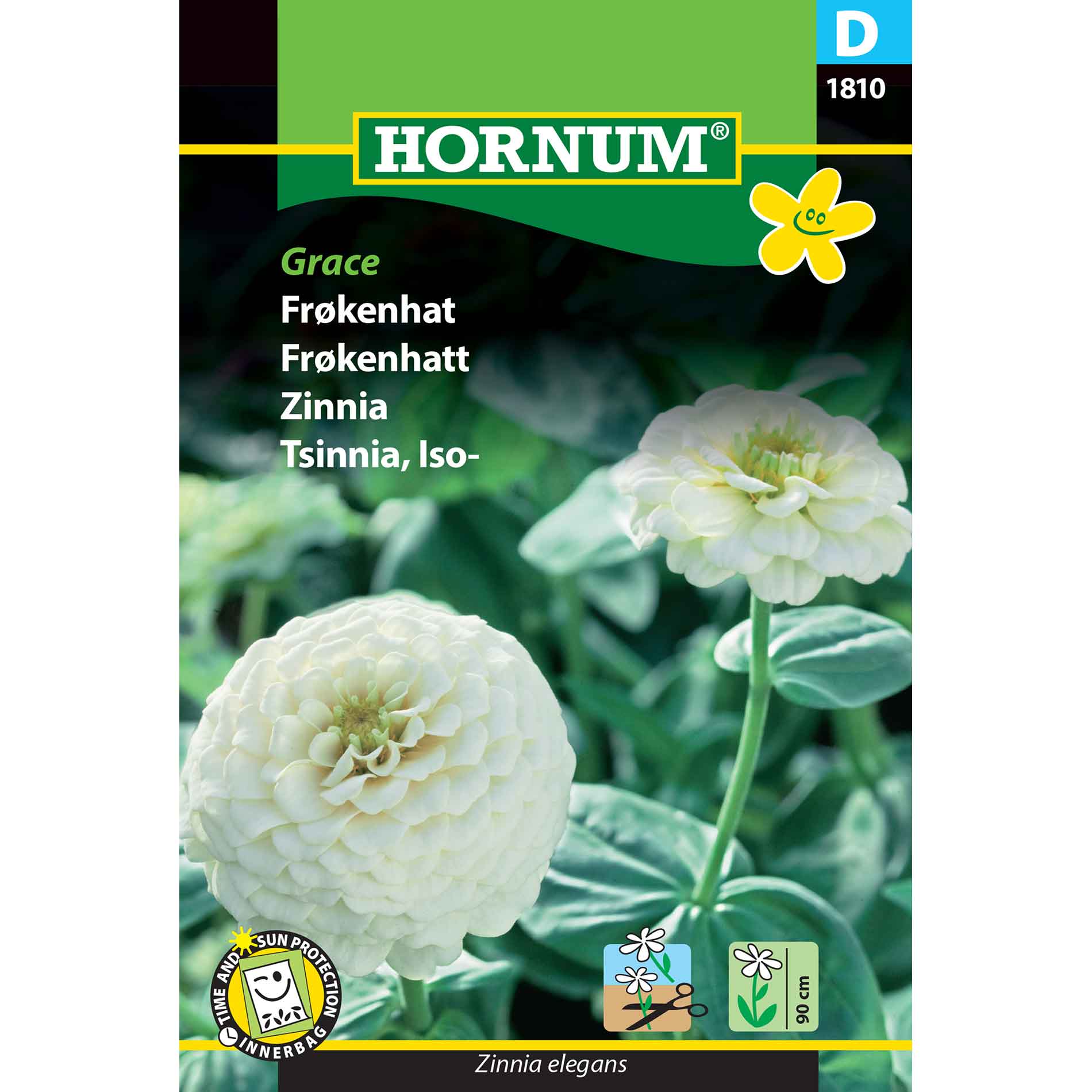 Lady's Hat Frog - Grace