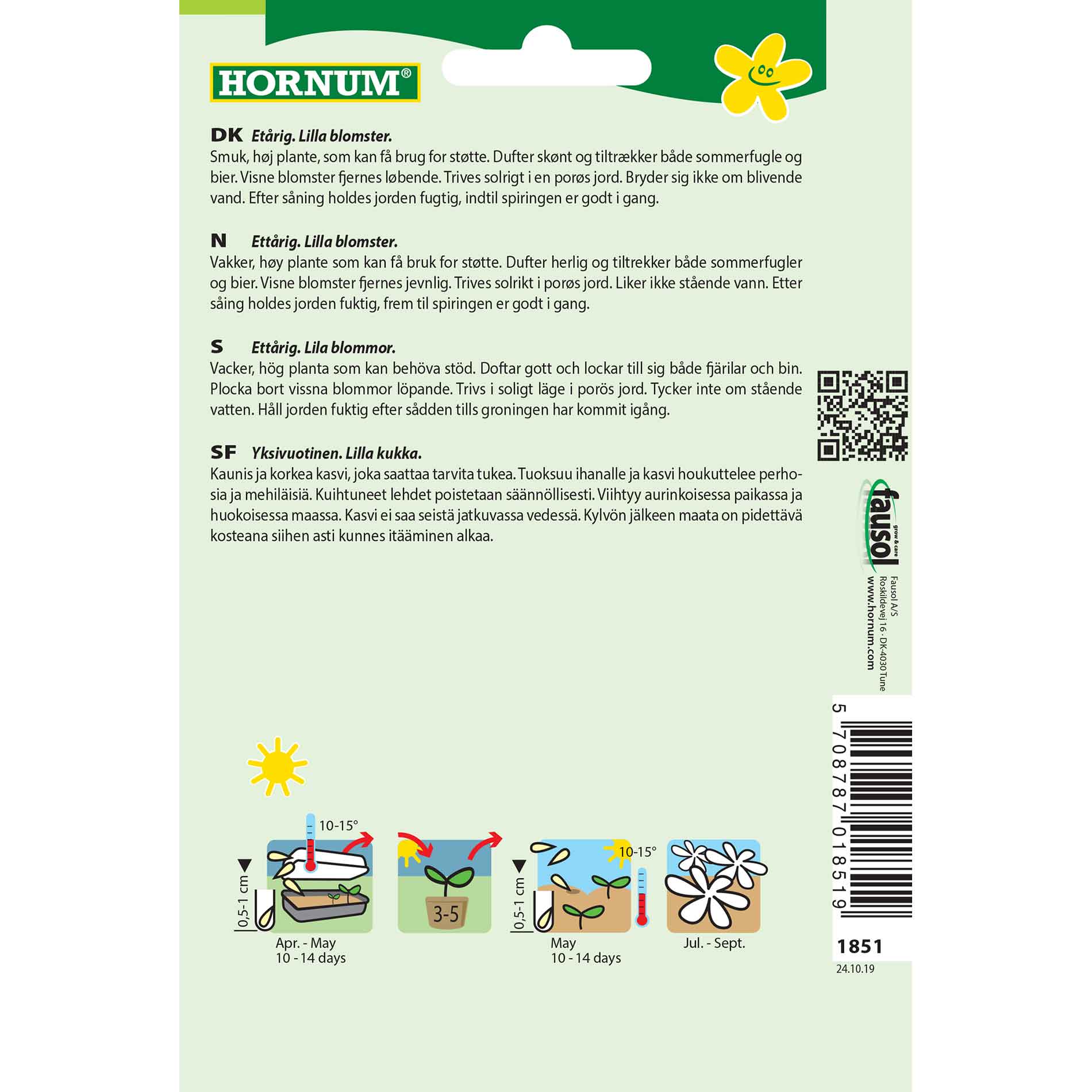 Laceflower seeds - Blue Umbrella