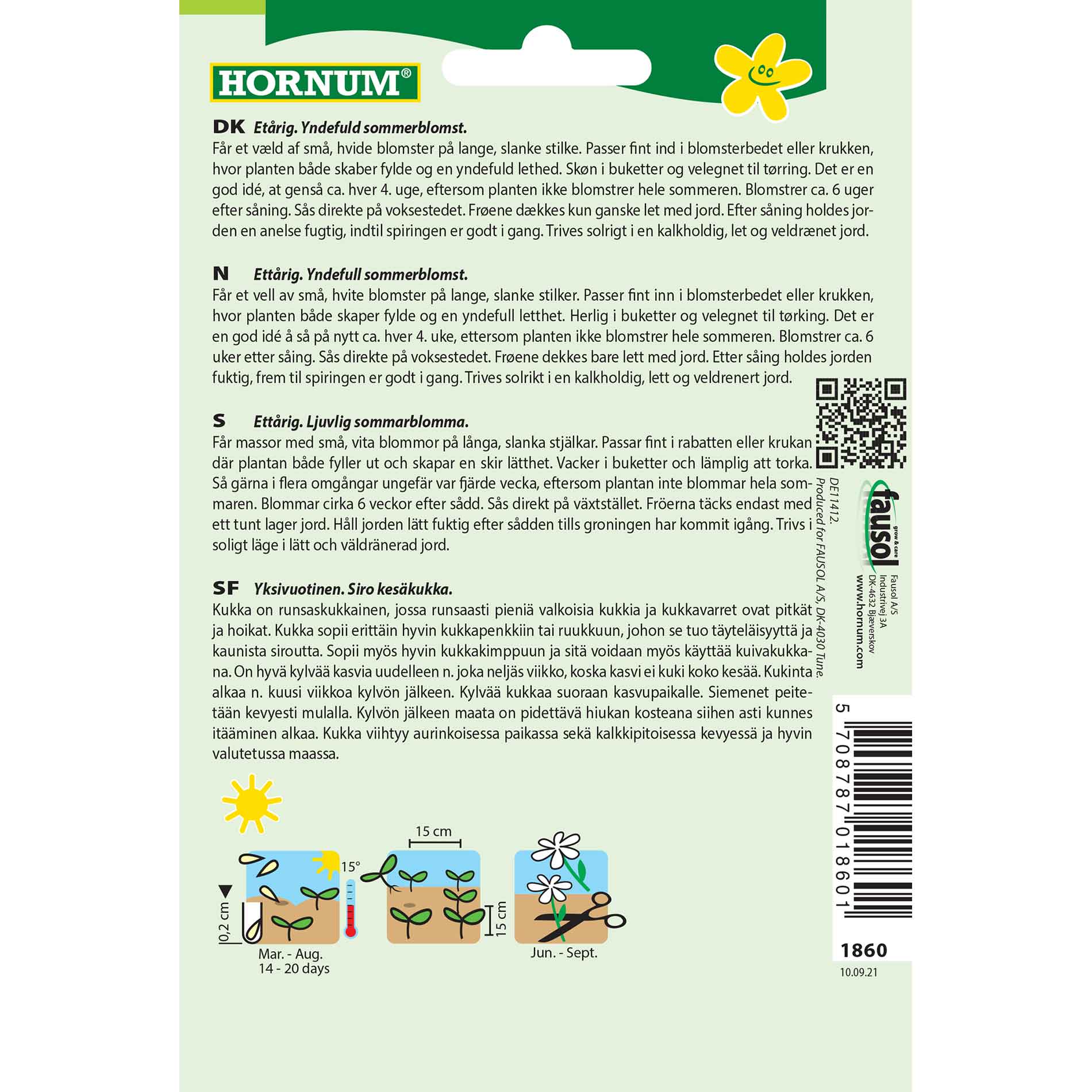 Bridal Veil Seeds - Maxima Alba