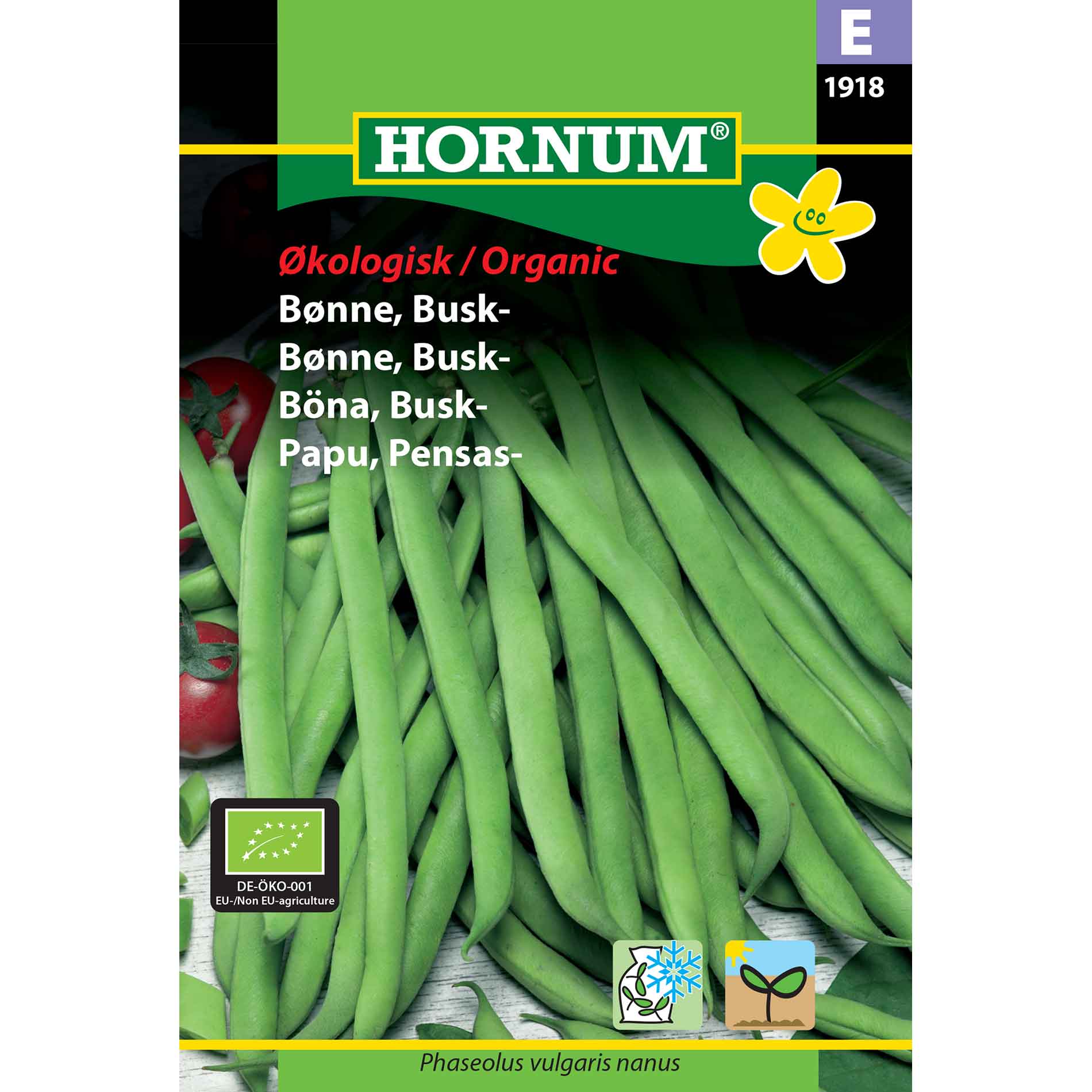 Bush bean seeds - Bush - Maxi - Organic