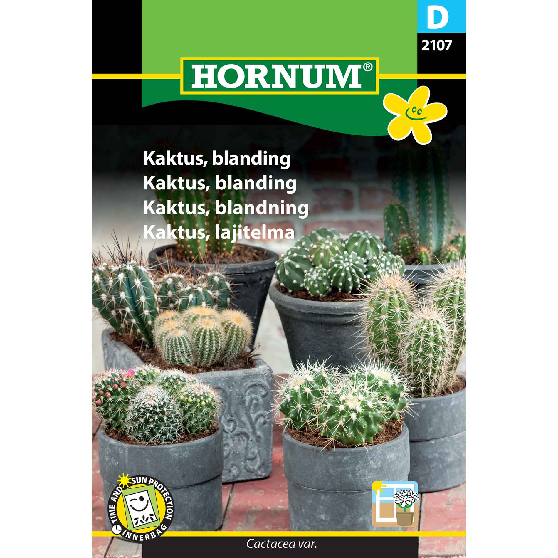 Cactus, mix (D)
