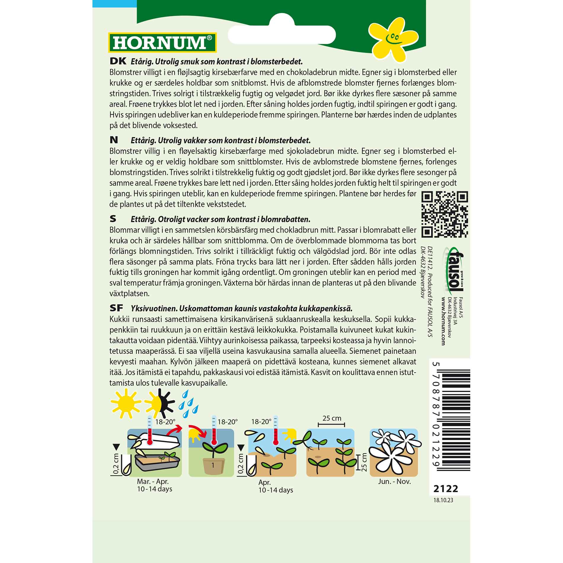 Coneflower, hairy, Cherry Brandy (D)