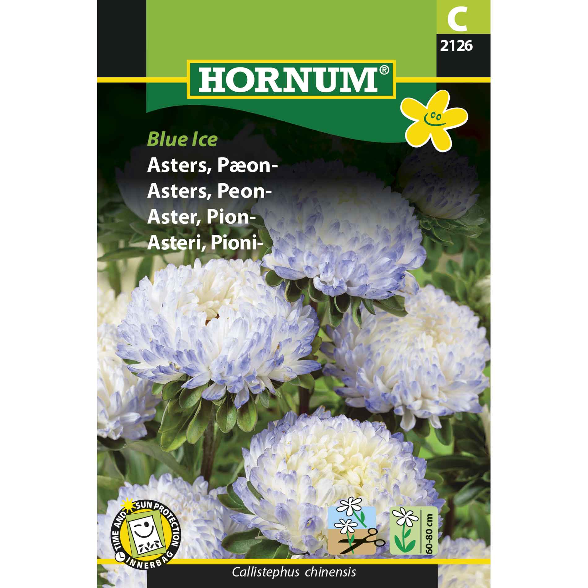 Asters, Peony-Blue Ice
