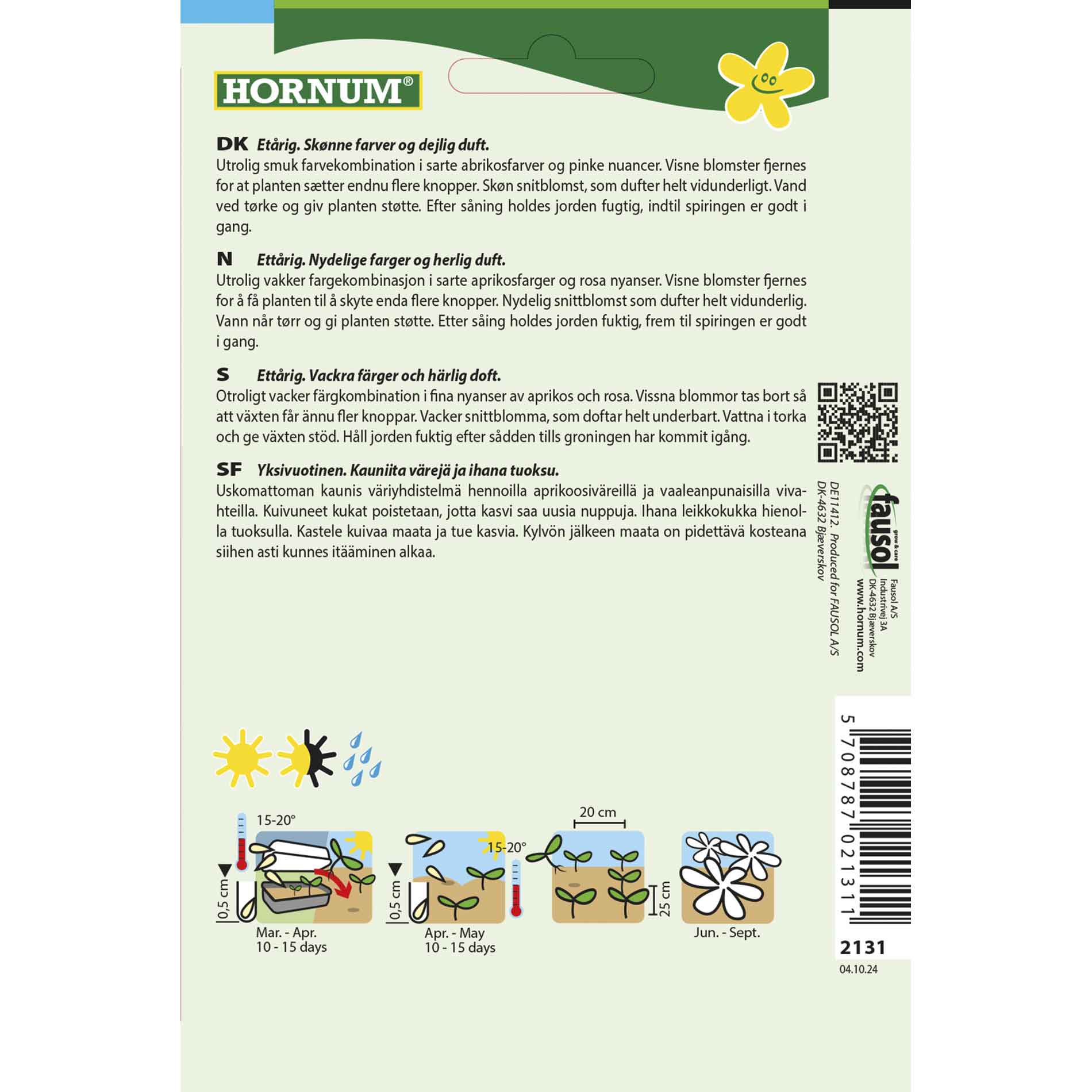 Phlox, Summer- Cherry Caramel