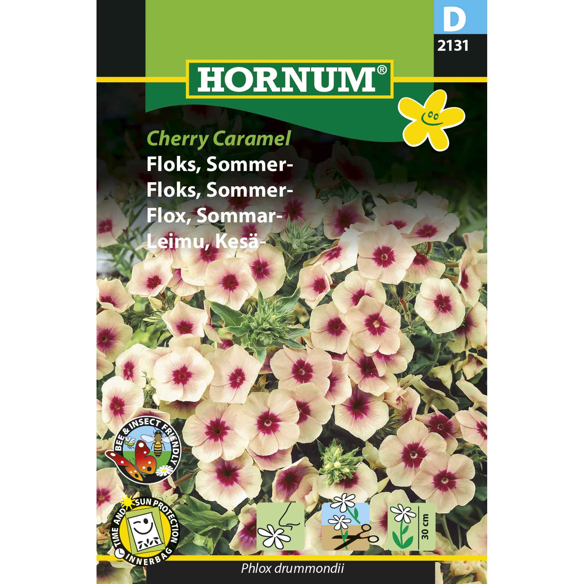 Phlox, Summer- Cherry Caramel