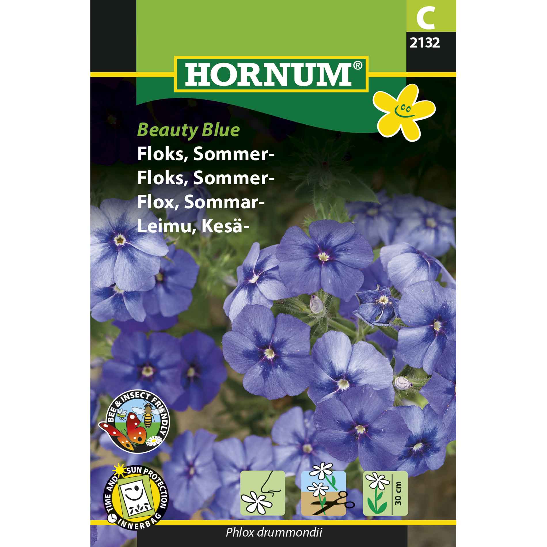 Phlox, Summer Beauty Blue