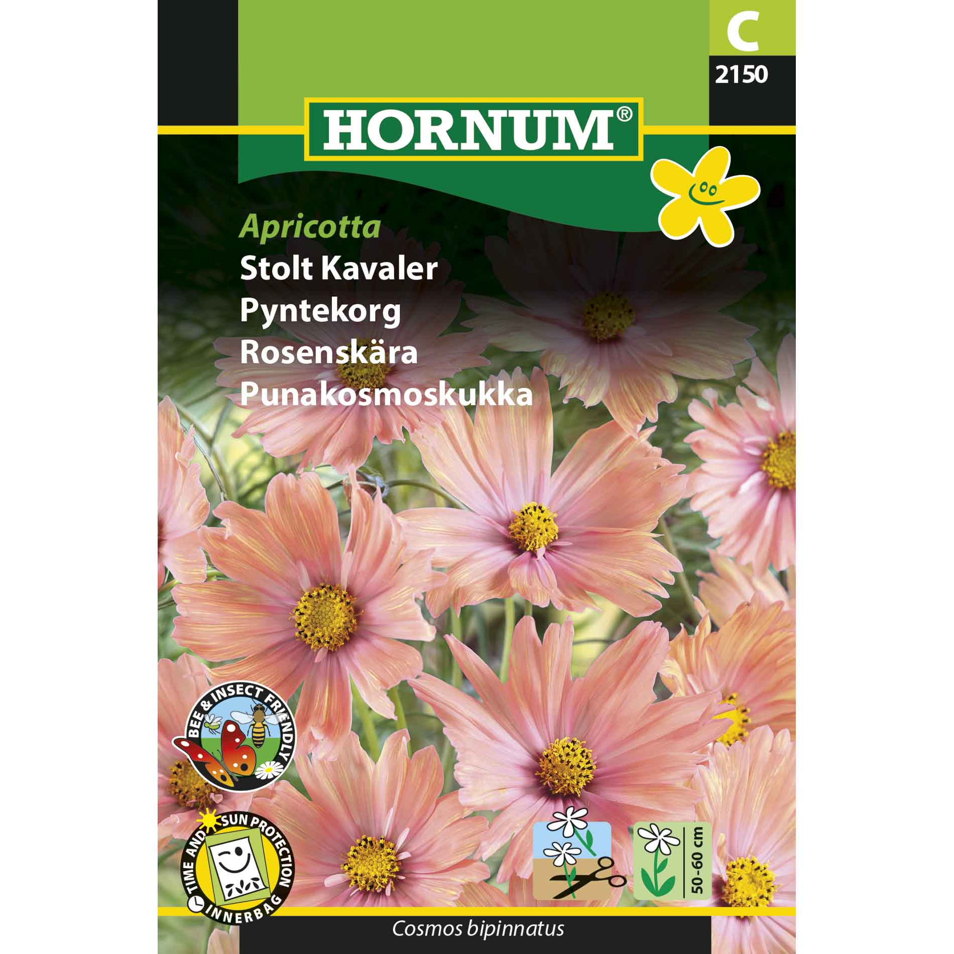 Proud Cavalier Apricotta