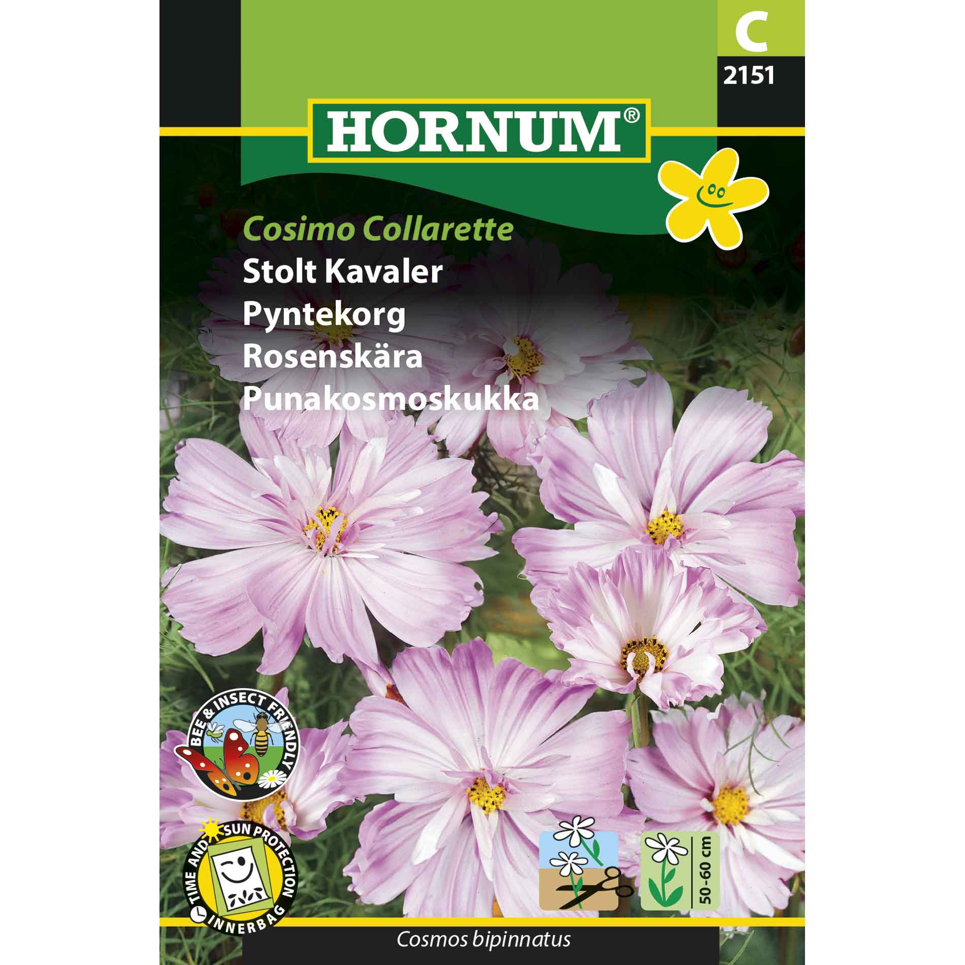 Proud Cavalier Cosimo Collarette