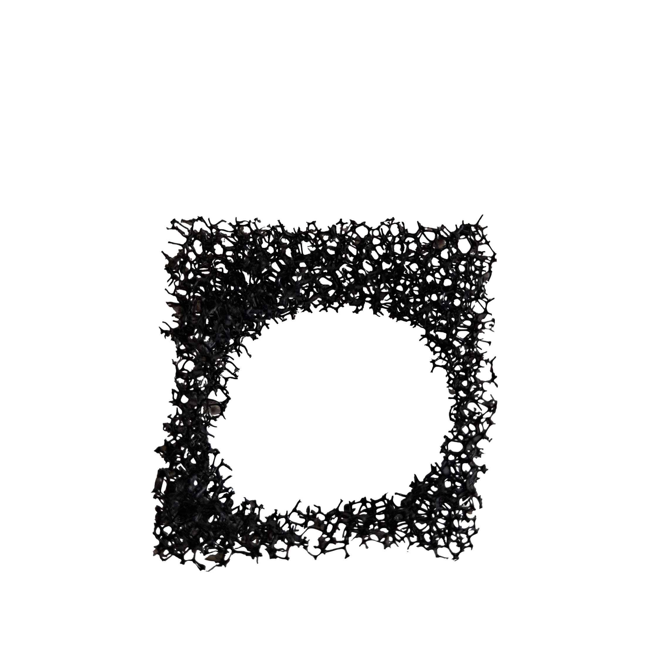 Filtersvamp AQ350/AQ350L