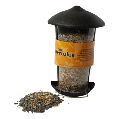 Bird feeder for seeds