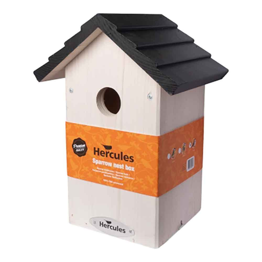 Spurge nest box pine