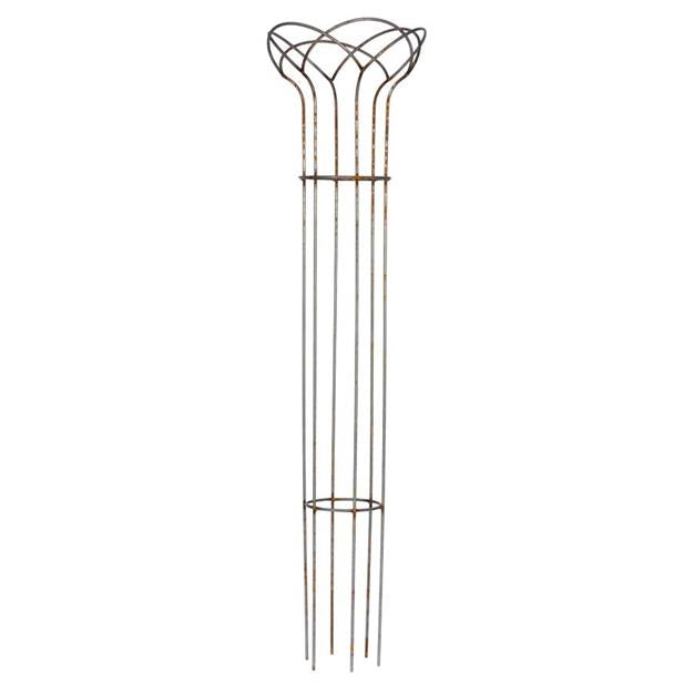 Staude trellis rust D40 H200