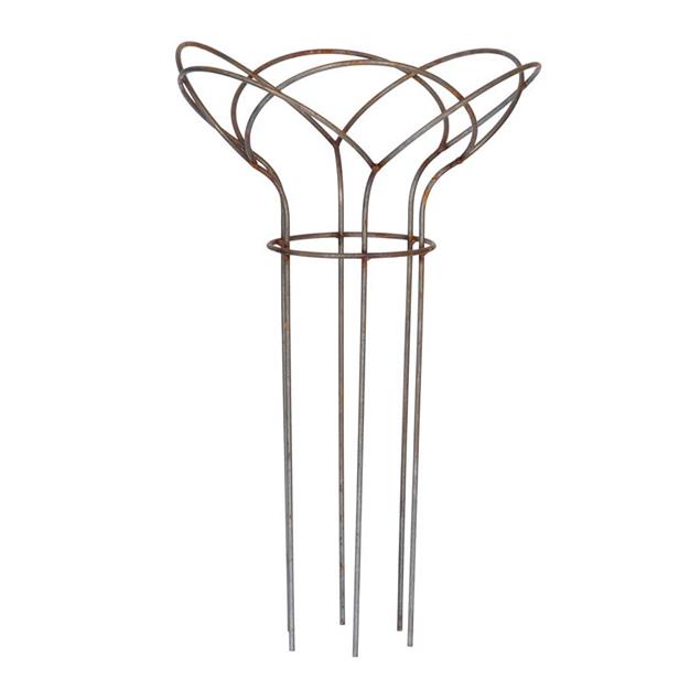 Staude trellis rust H80