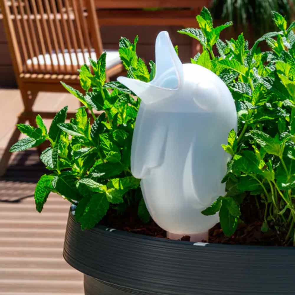 Boerdy Xxl Indoor Transparent 110/33