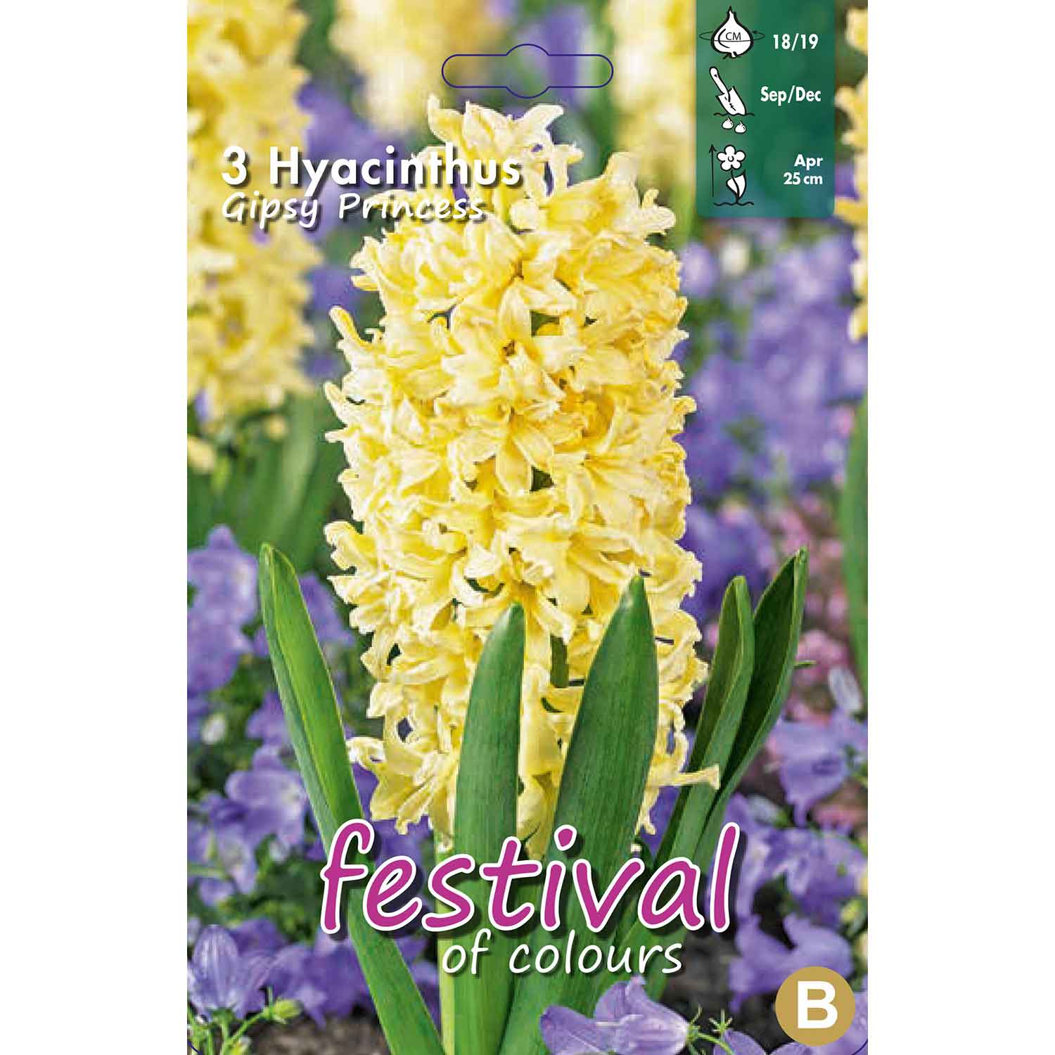 Hyacinthus Gipsy Princess (x3), 17/18
