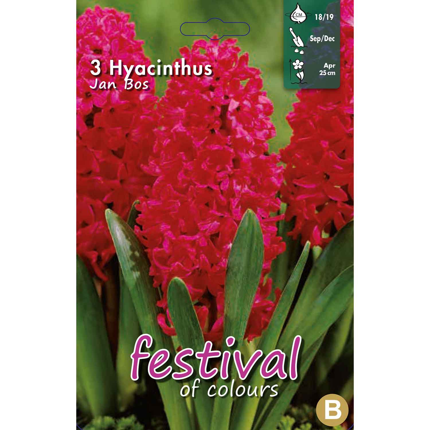 Hyacinthus Jan Bos (x3), 17/18