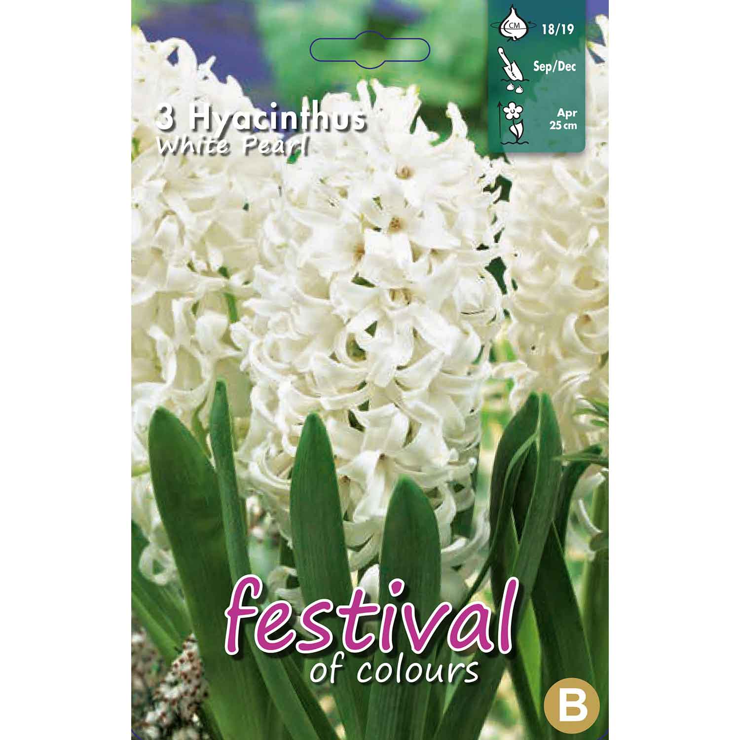 Hyacinthus White Pearl (x3), 17/18