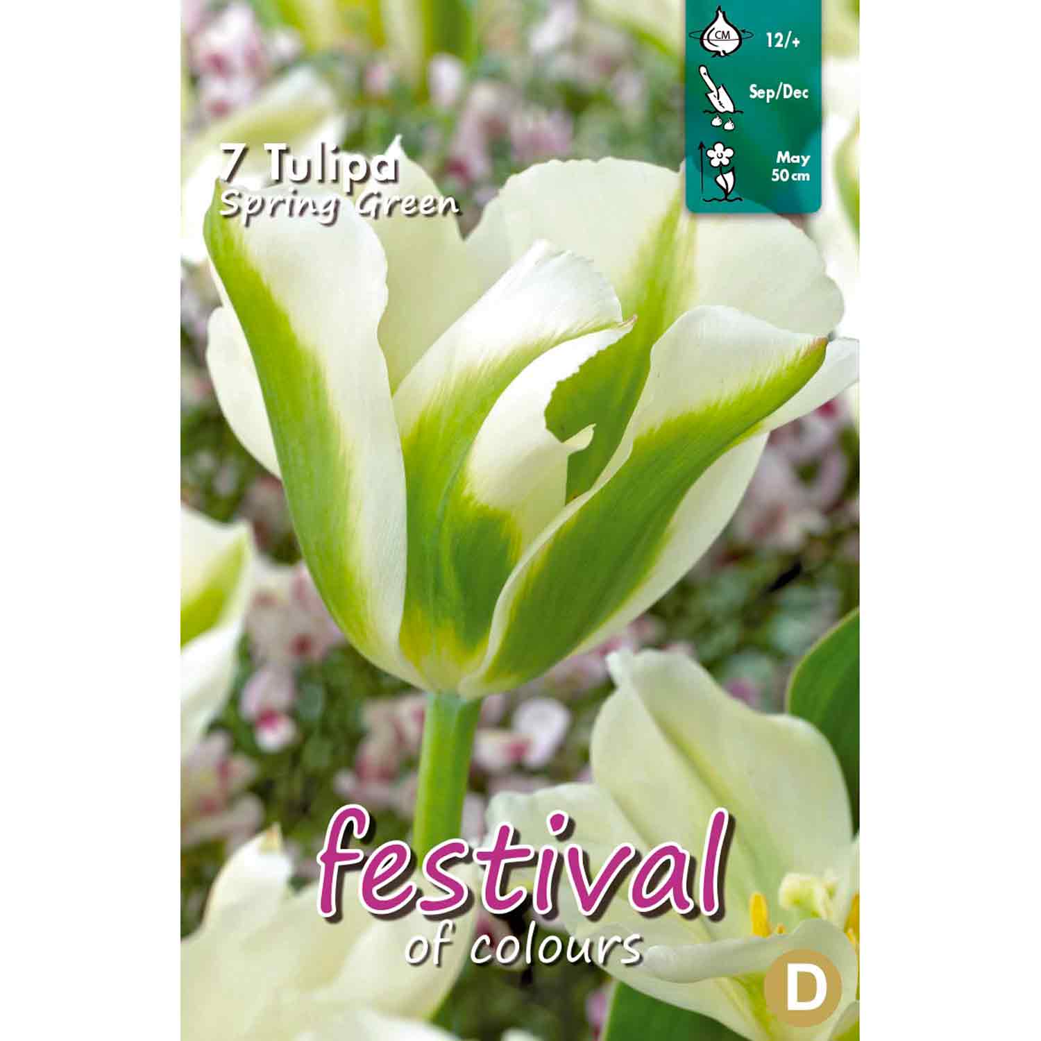 Tulipa Spring Green 12/+ 7stk