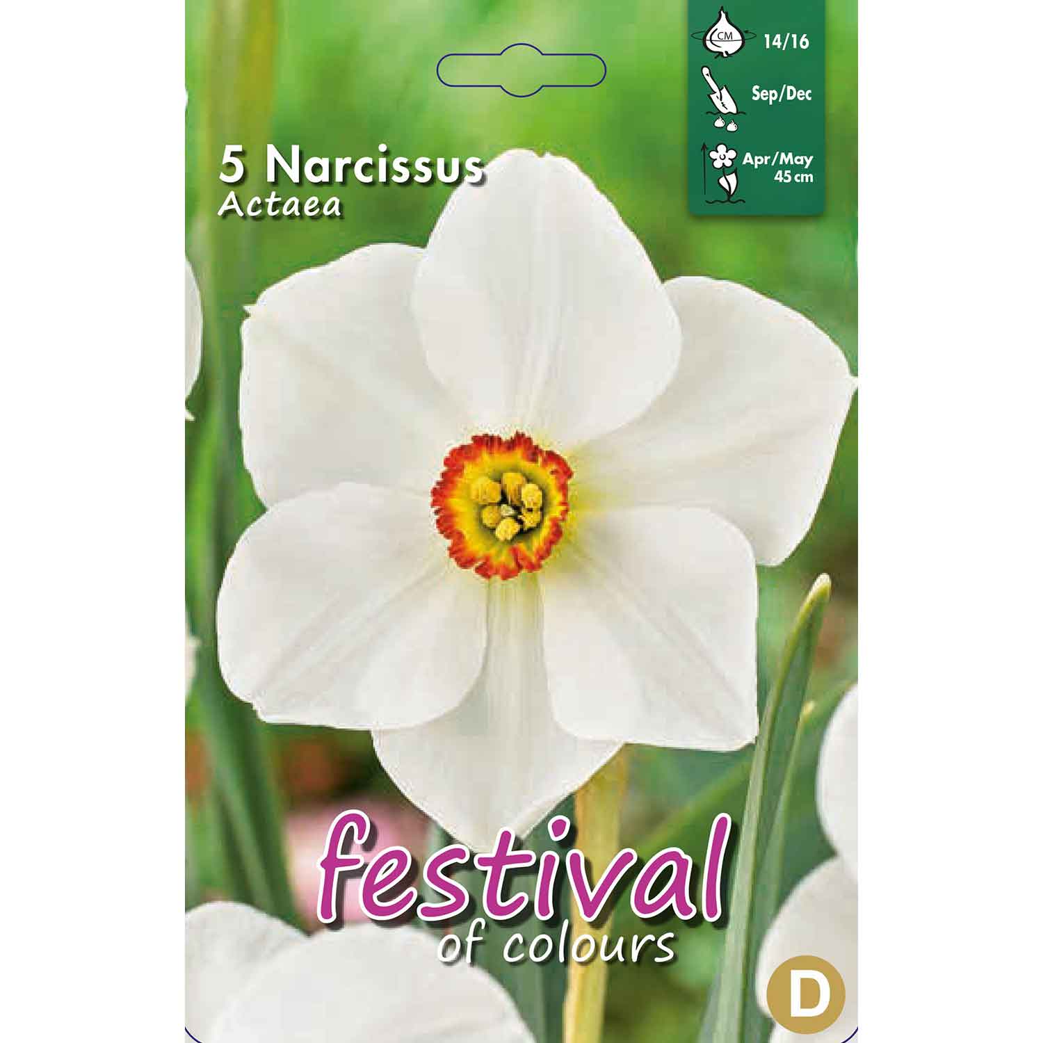 Narcisses Actaea 14/16, 5stk