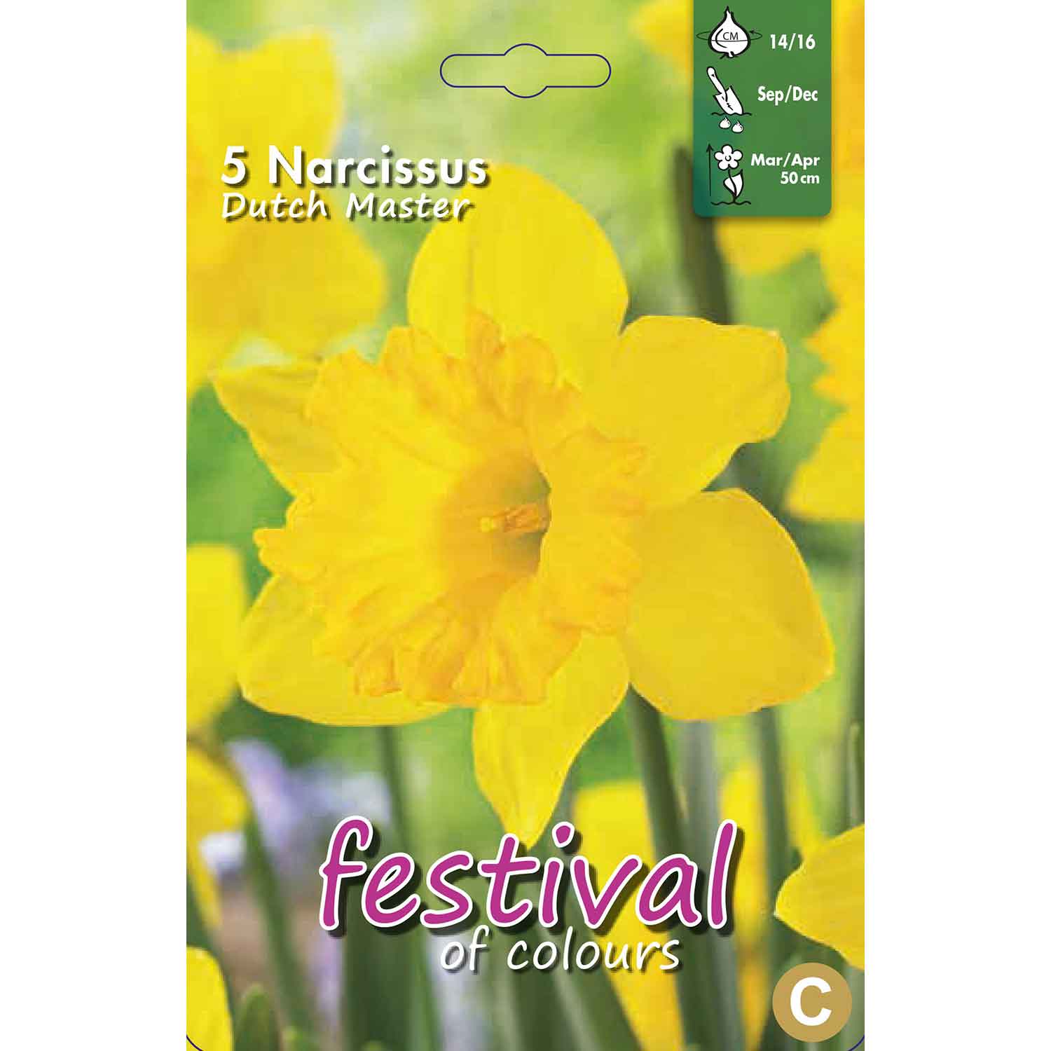 Narcissus Dutch Master 14/16 (x8x5) *624295*