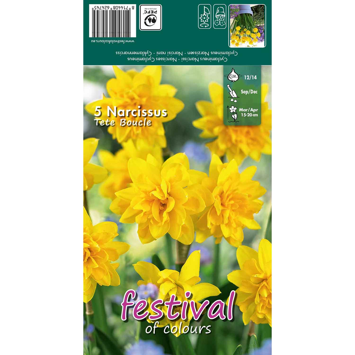 Narcisses Tete Boucle 12/14, 5stk