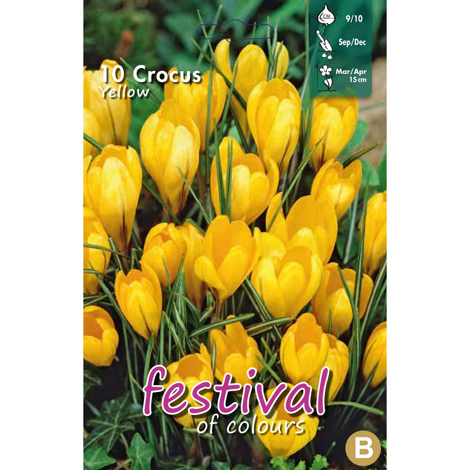 Crocus Yellow 9/10 10stk