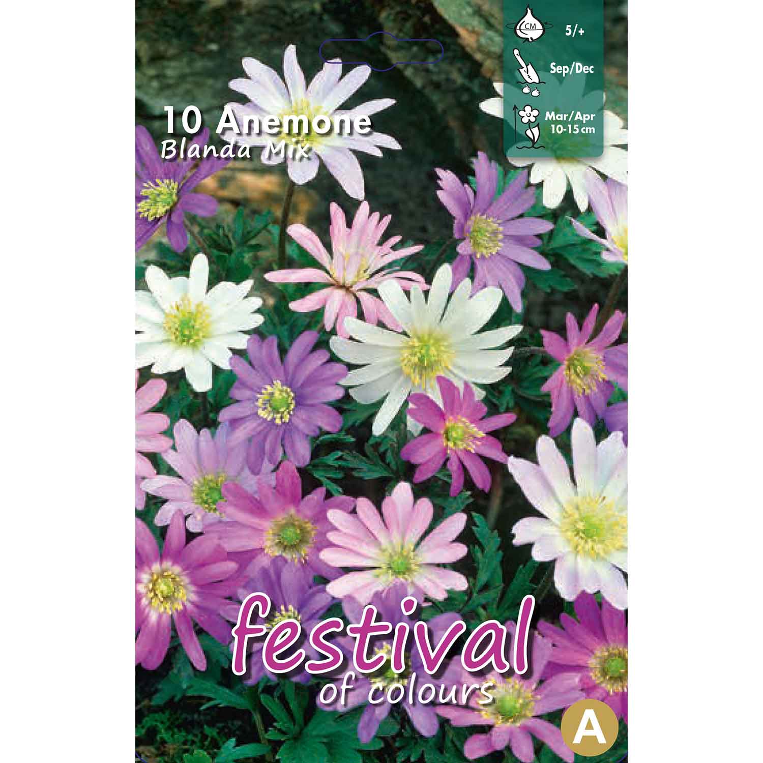 Anemone Blanda Mixed 5/+, 10stk
