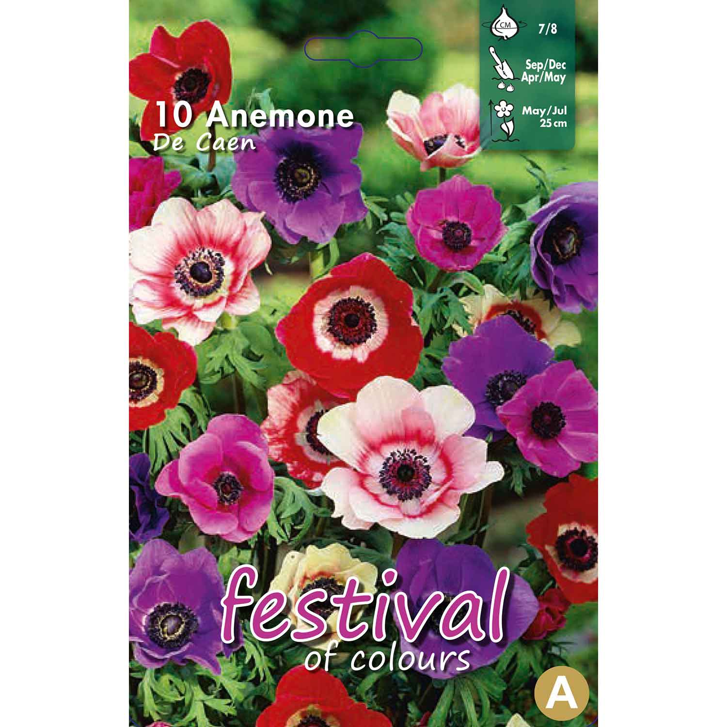 Anemone de Caen Mixed 7/8, 10stk