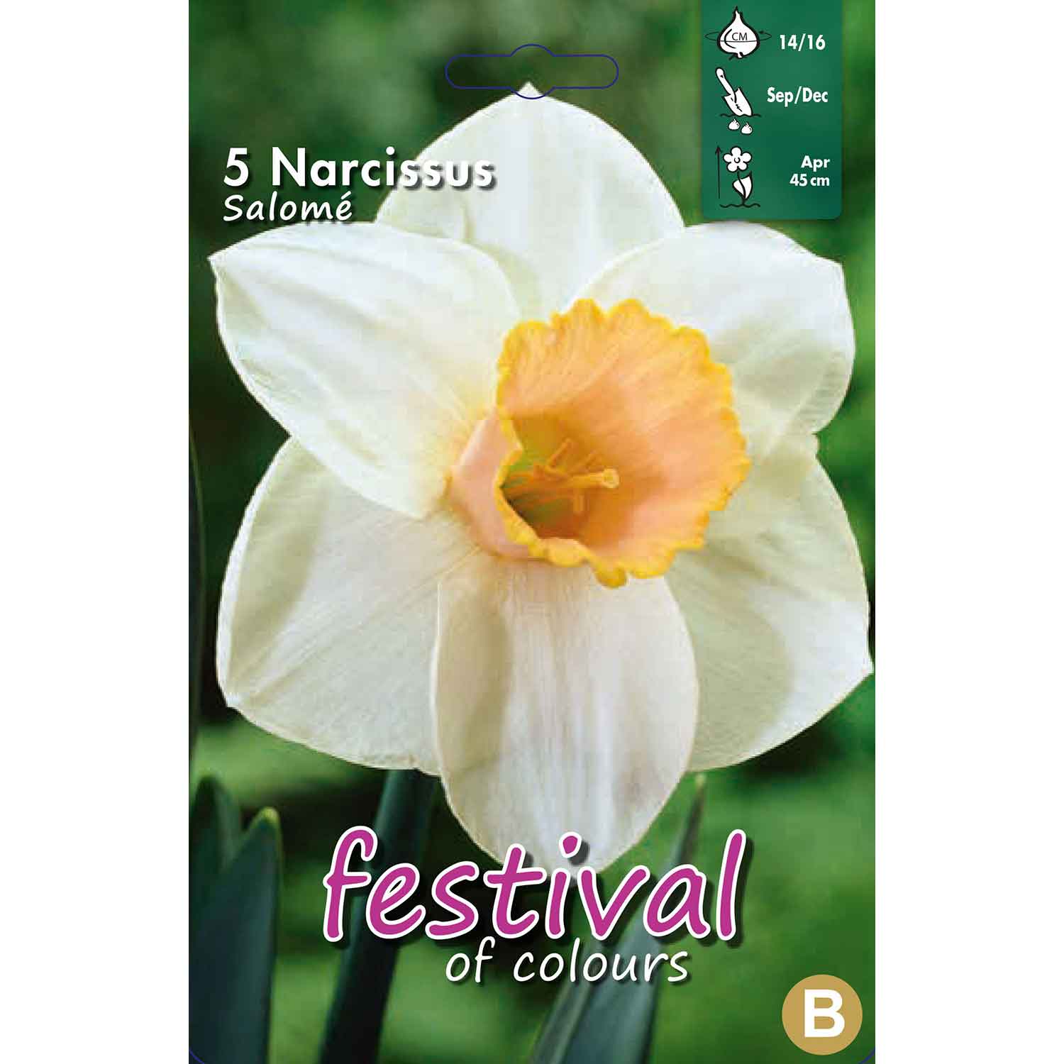Narcisses Salomé 12/14, 15stk