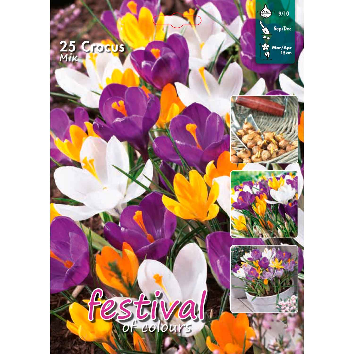 Crocus Mixed 8/9 25stk