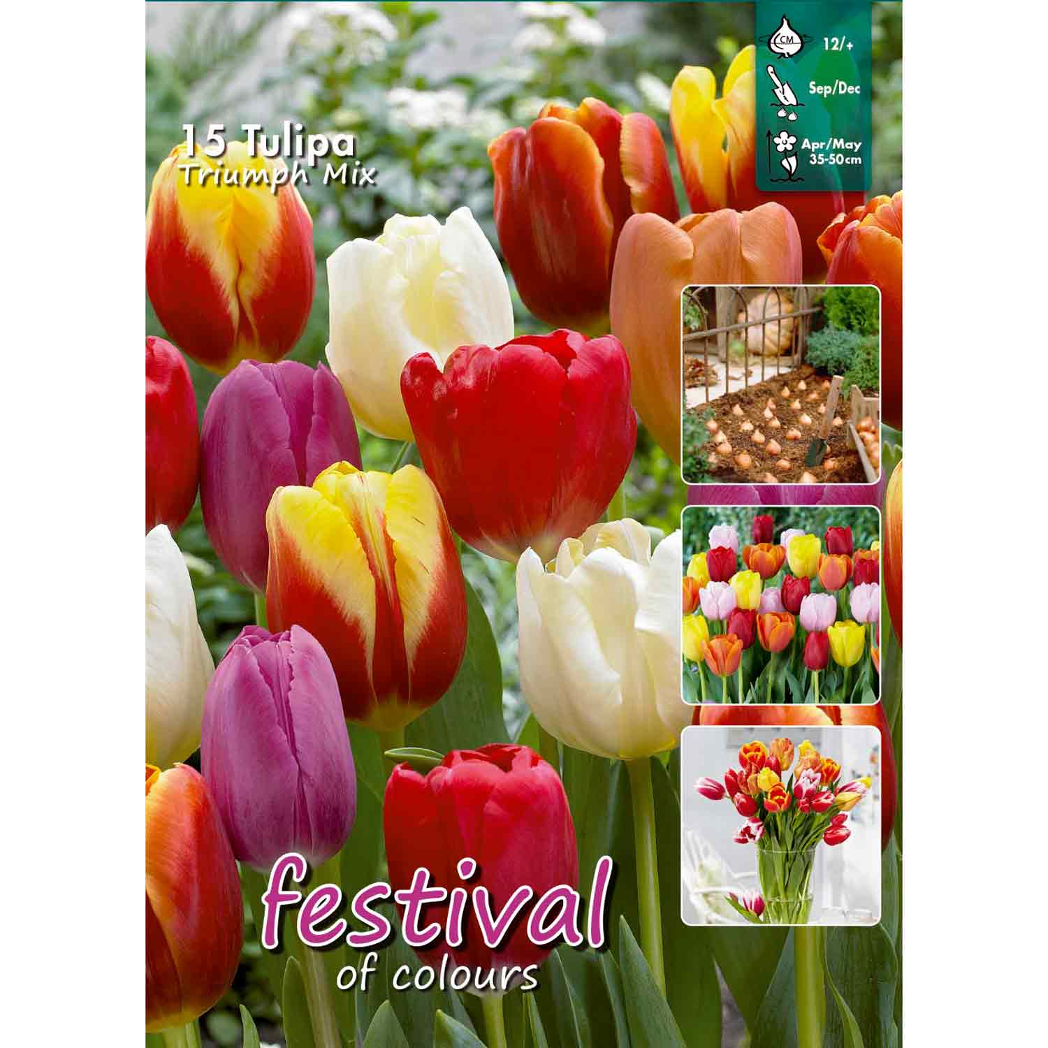 Tulipa Triumph Mixed 12/+ 15stk